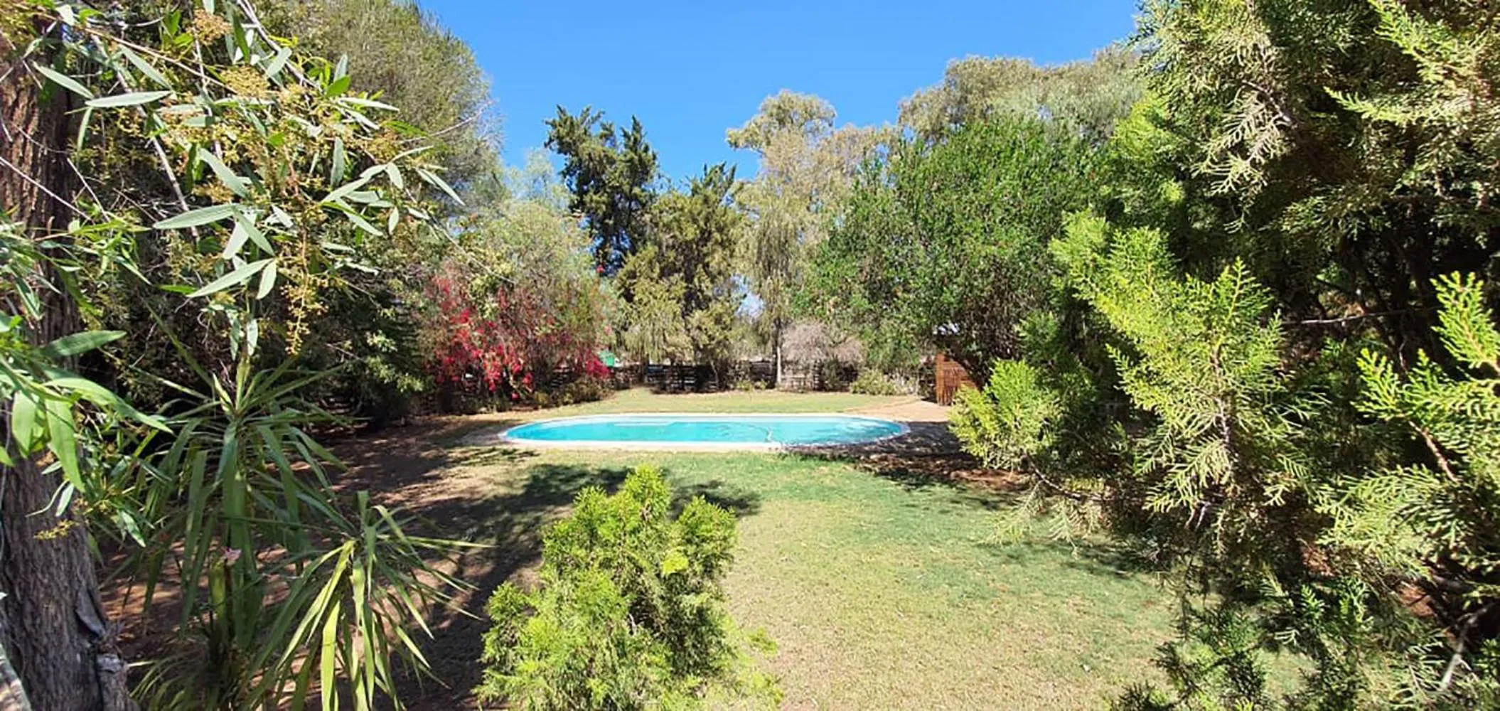 Swimming pool in Welgeluk Feather Palace
