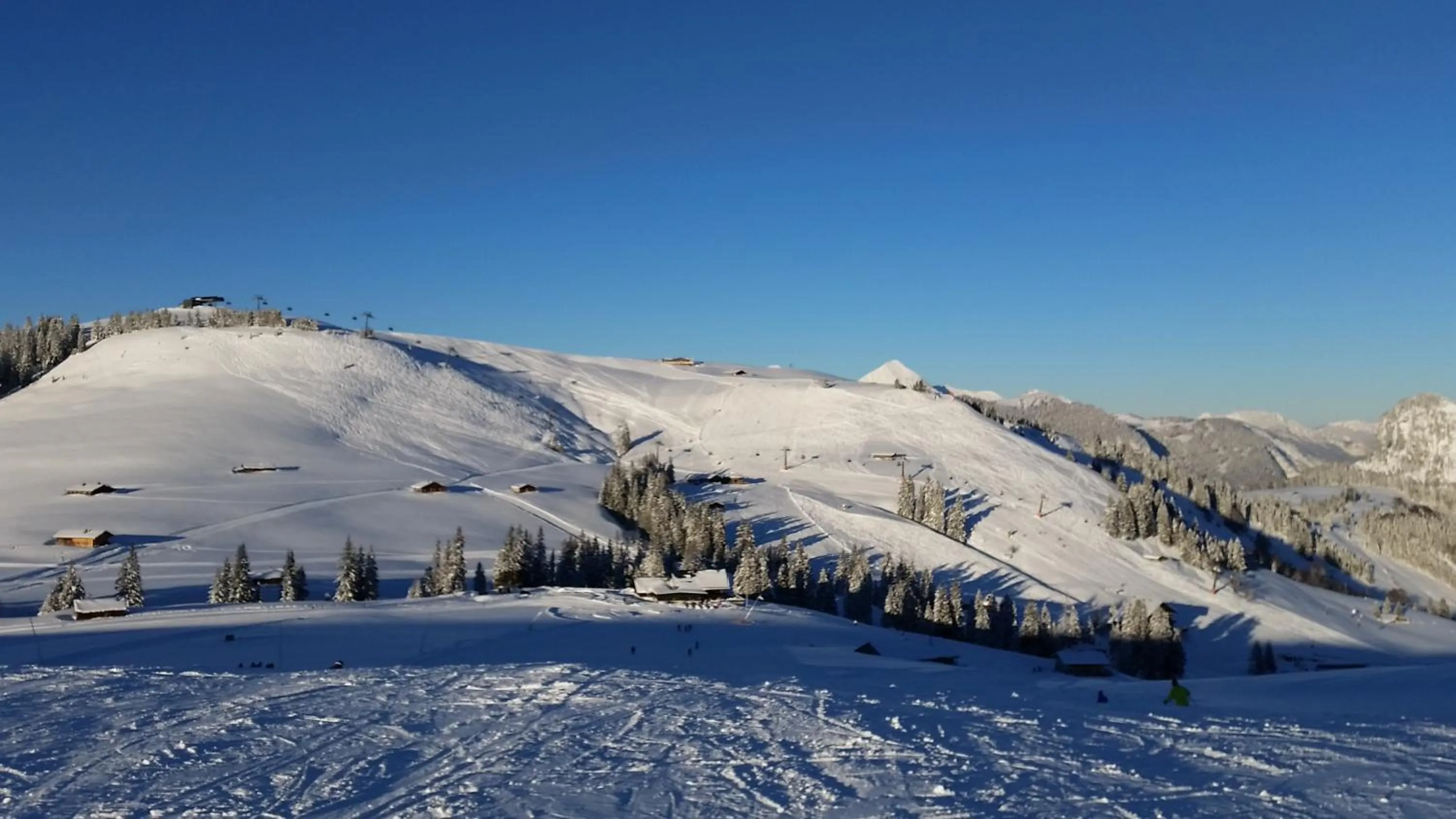 Day in Hotel - Wirts'haus "Zum Schweizer"