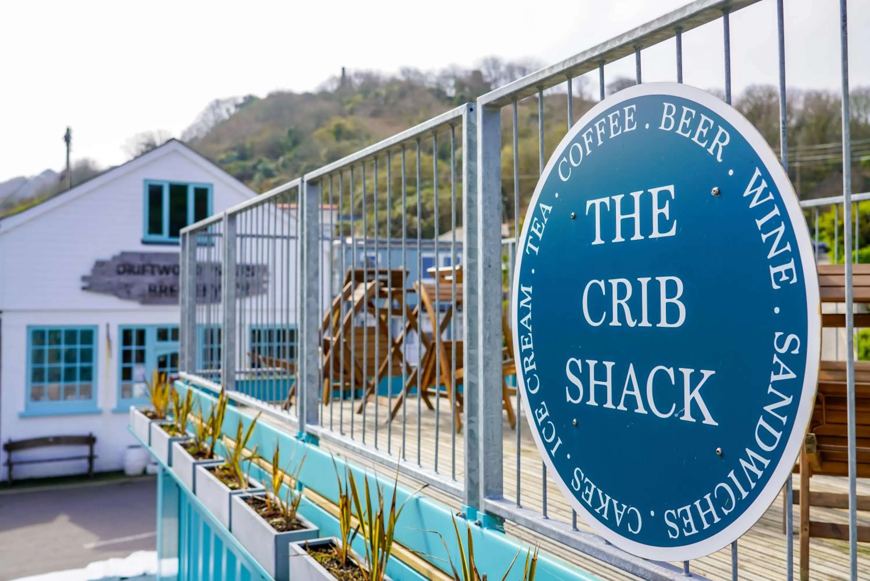 Activities in Driftwood Spars