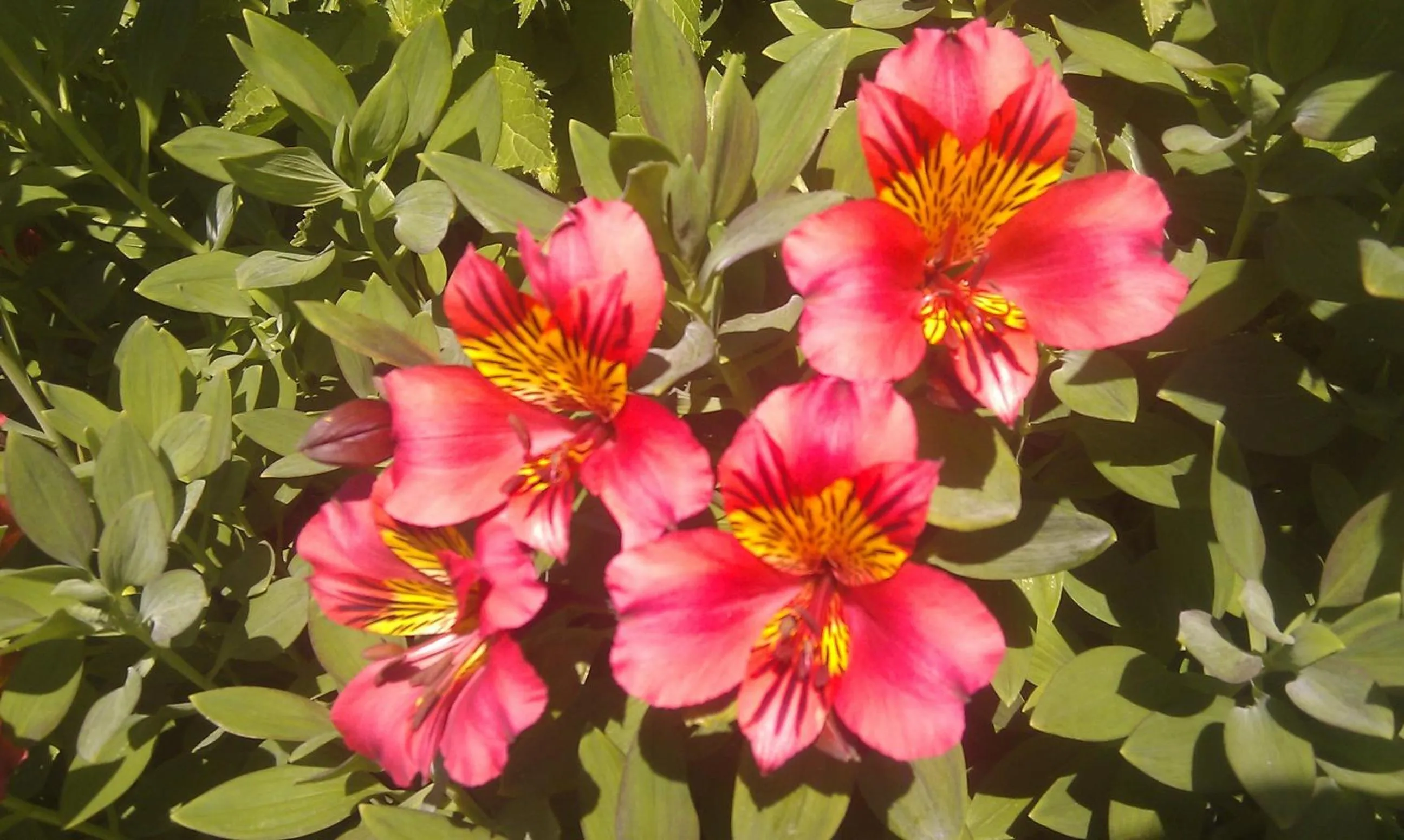 Area and facilities in Hotel De France