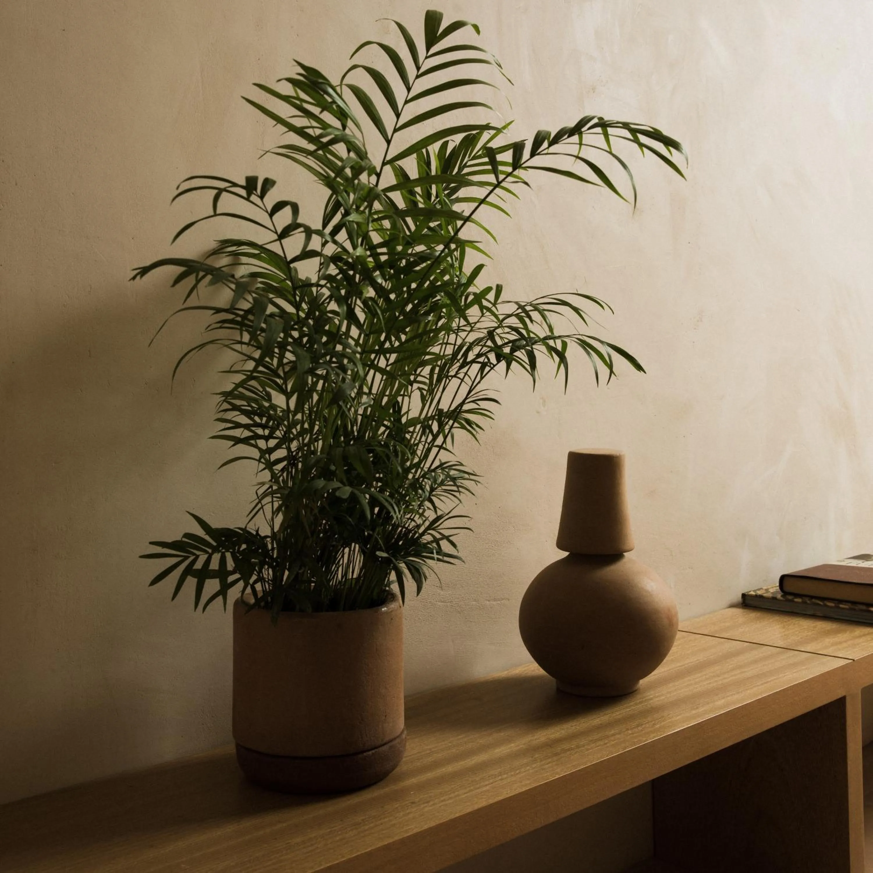 Decorative detail in Casa Montore by Barrio Mexico