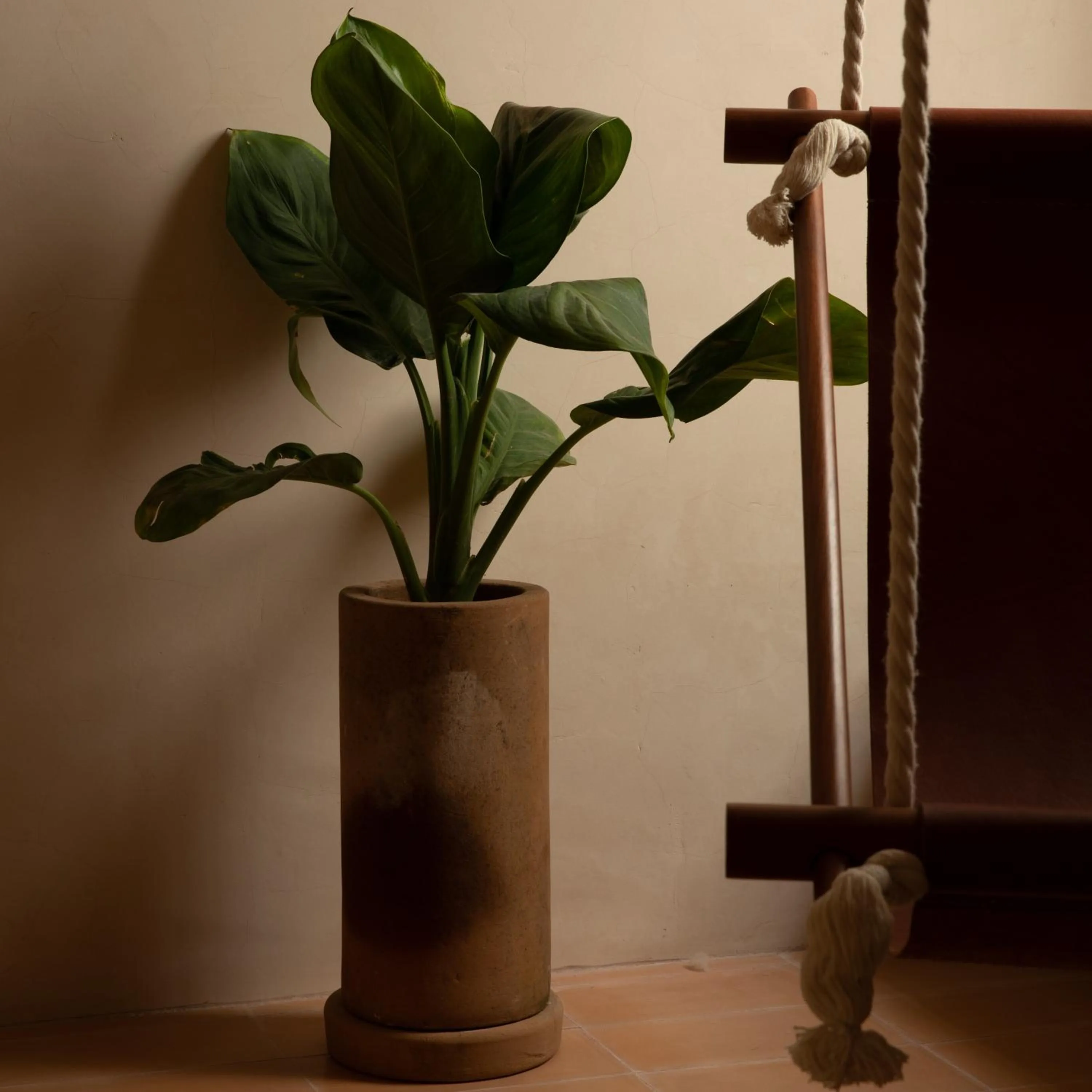 Decorative detail in Casa Montore by Barrio Mexico