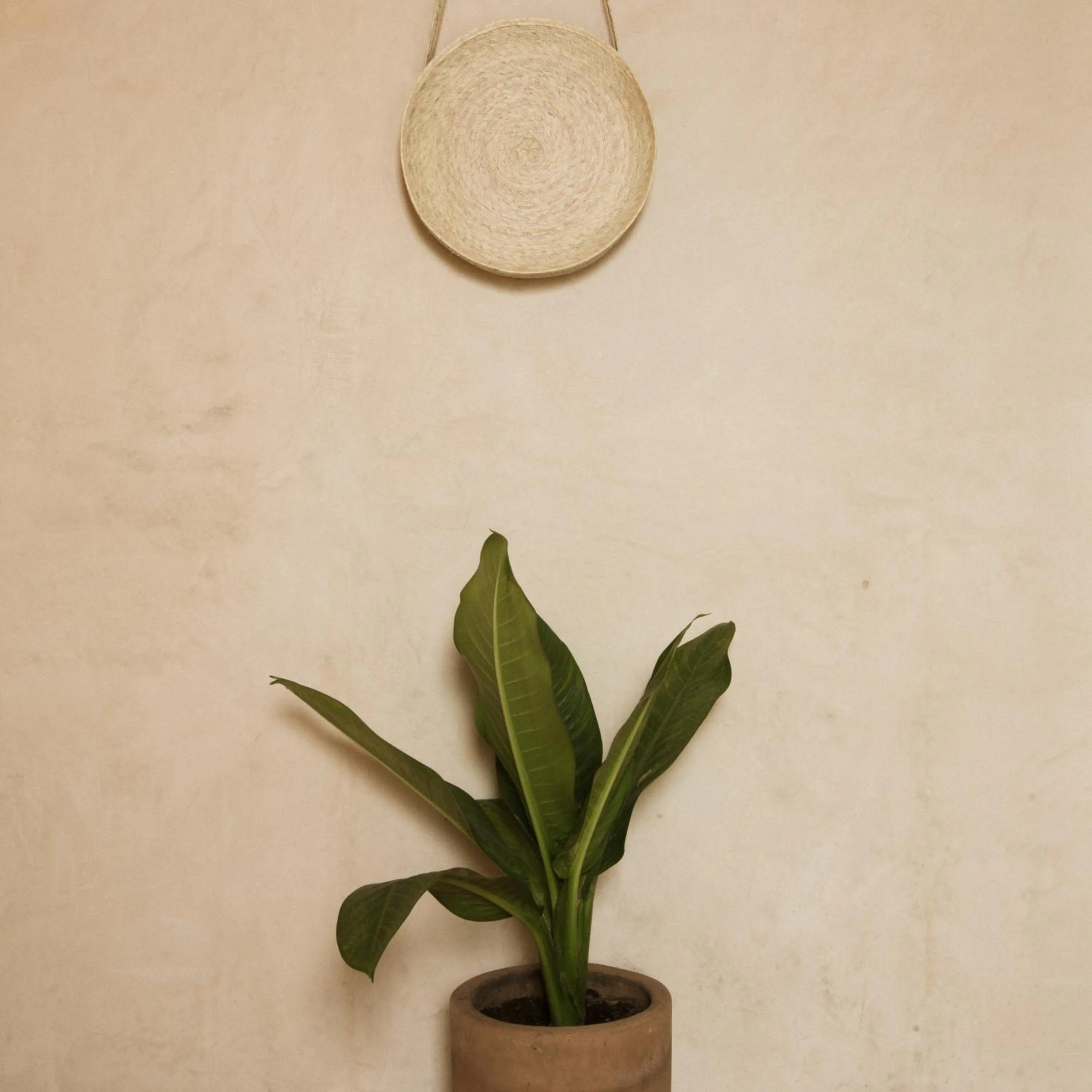 Decorative detail in Casa Montore by Barrio Mexico