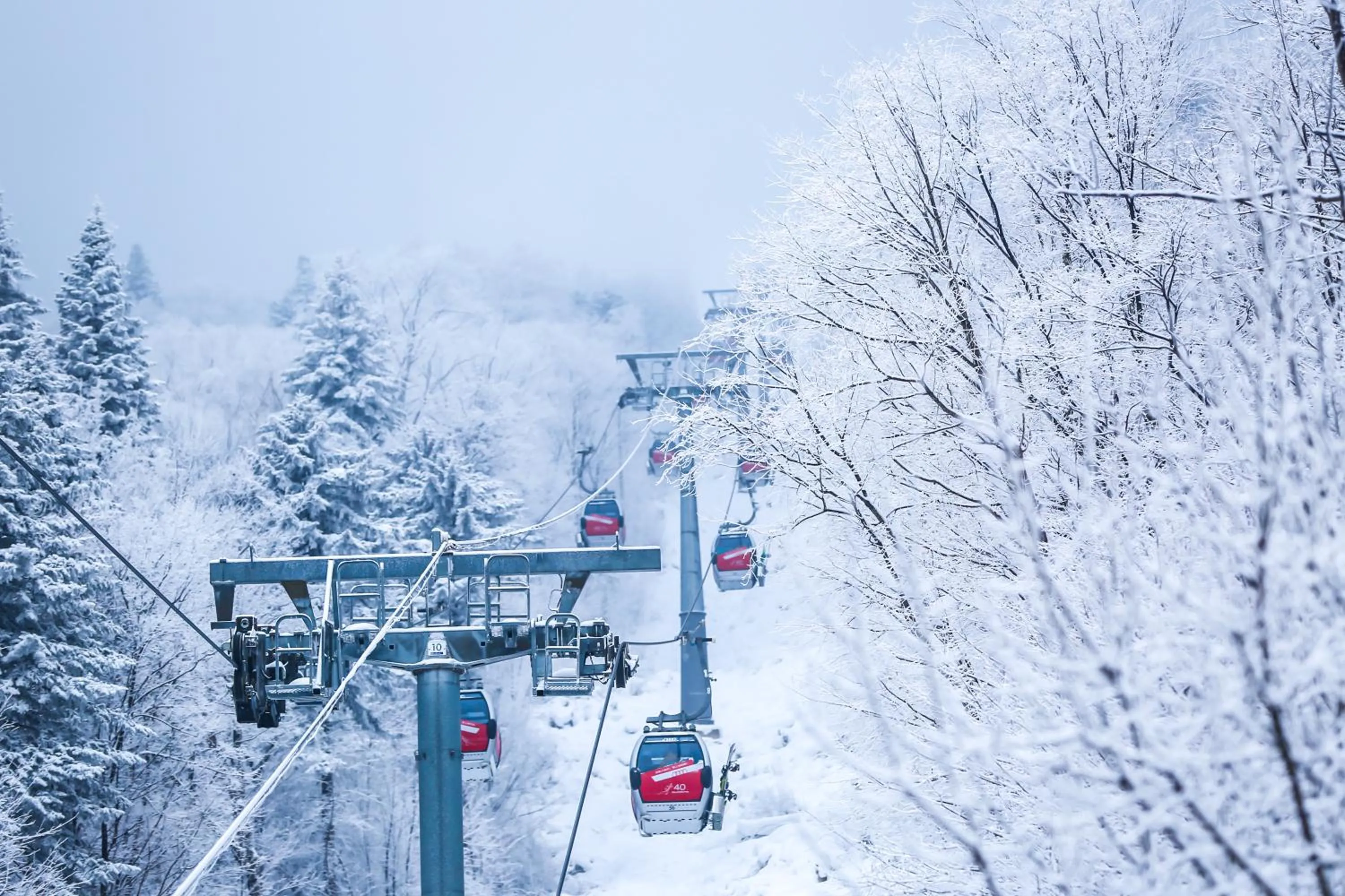 Natural landscape in Holiday Inn Jilin Beidahu by IHG