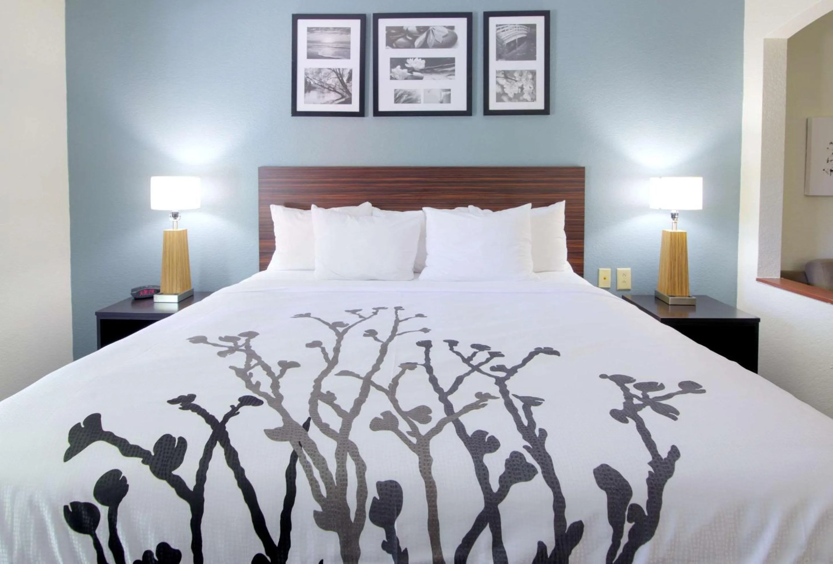 Photo of the whole room, Bed in Sleep Inn & Suites Chesapeake - Portsmouth