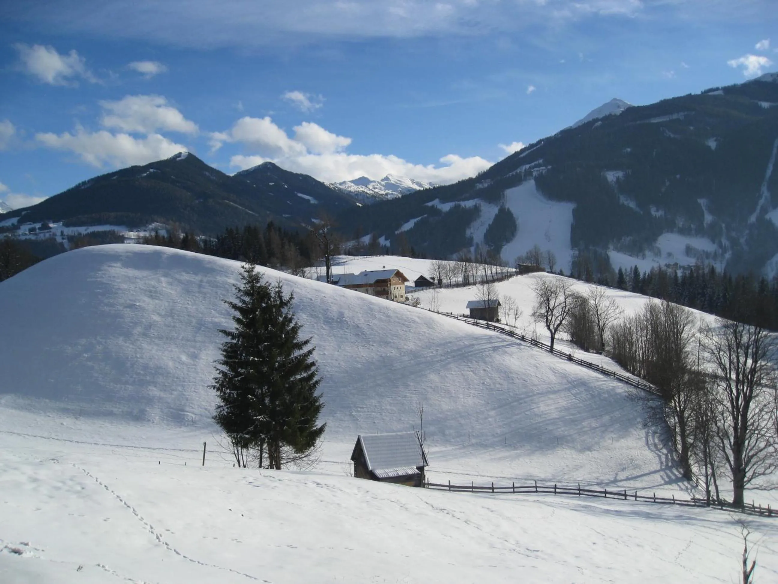 Natural landscape in Mittergruberhof