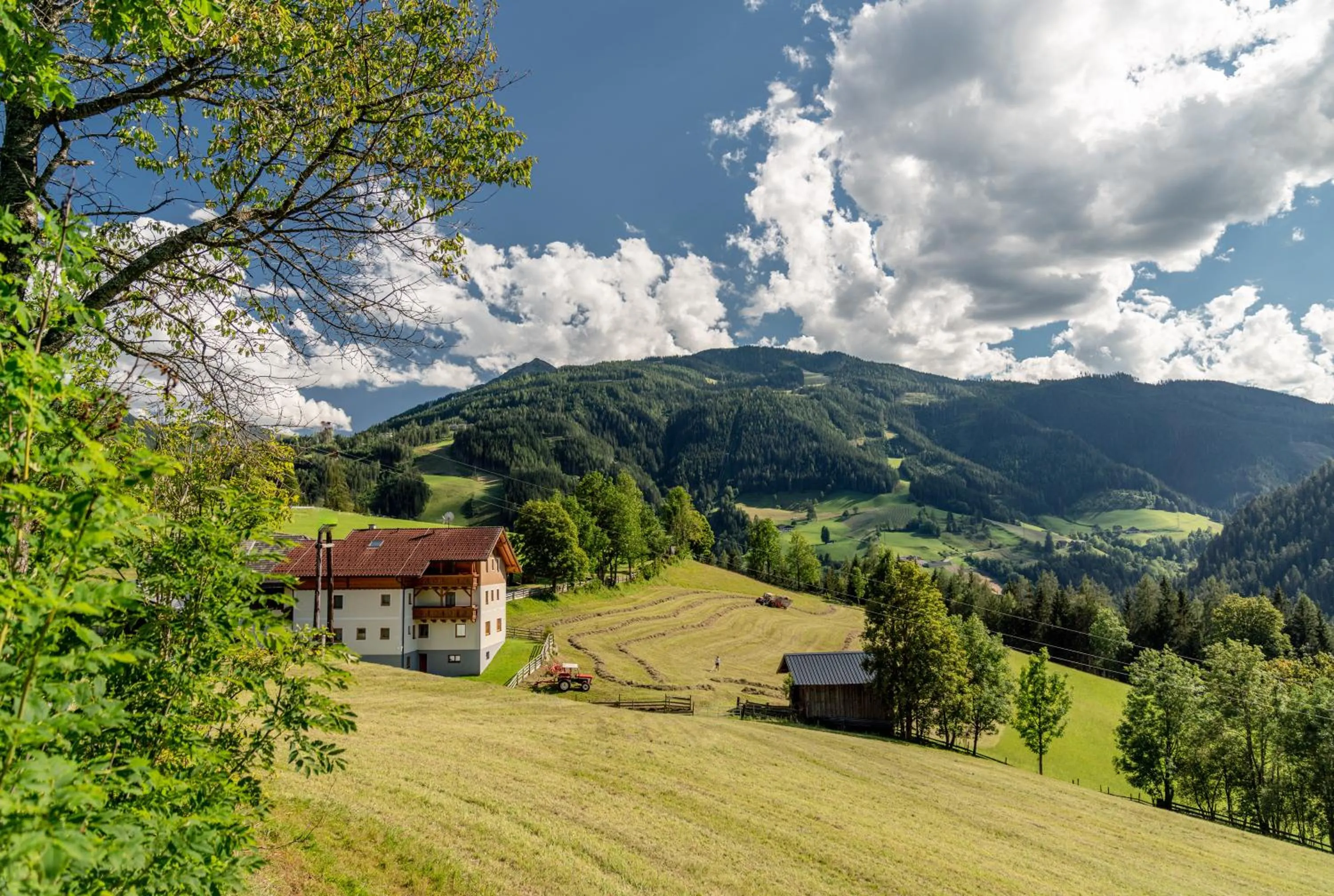 Natural landscape in Mittergruberhof