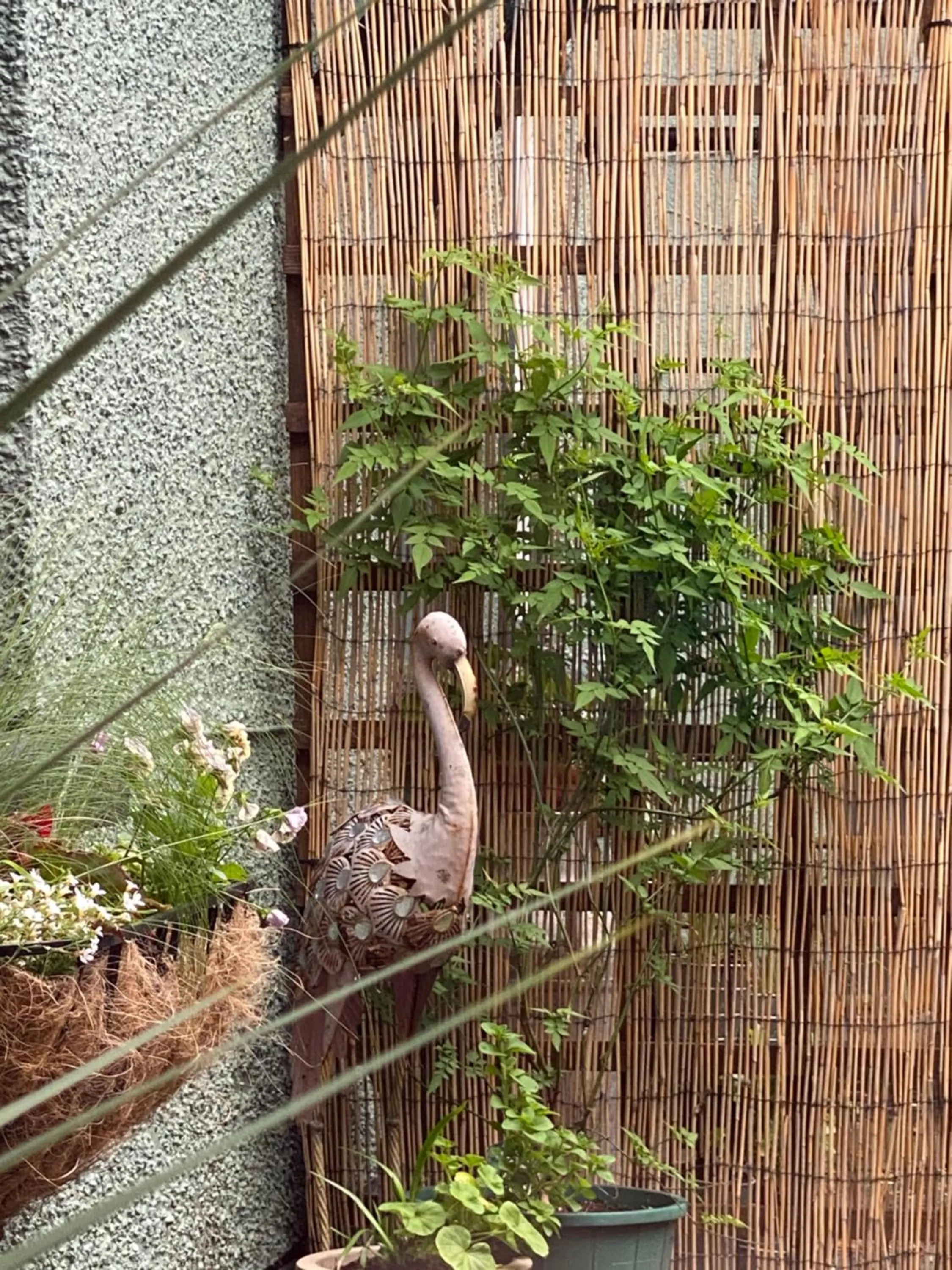 The Inn on the Moor Hotel