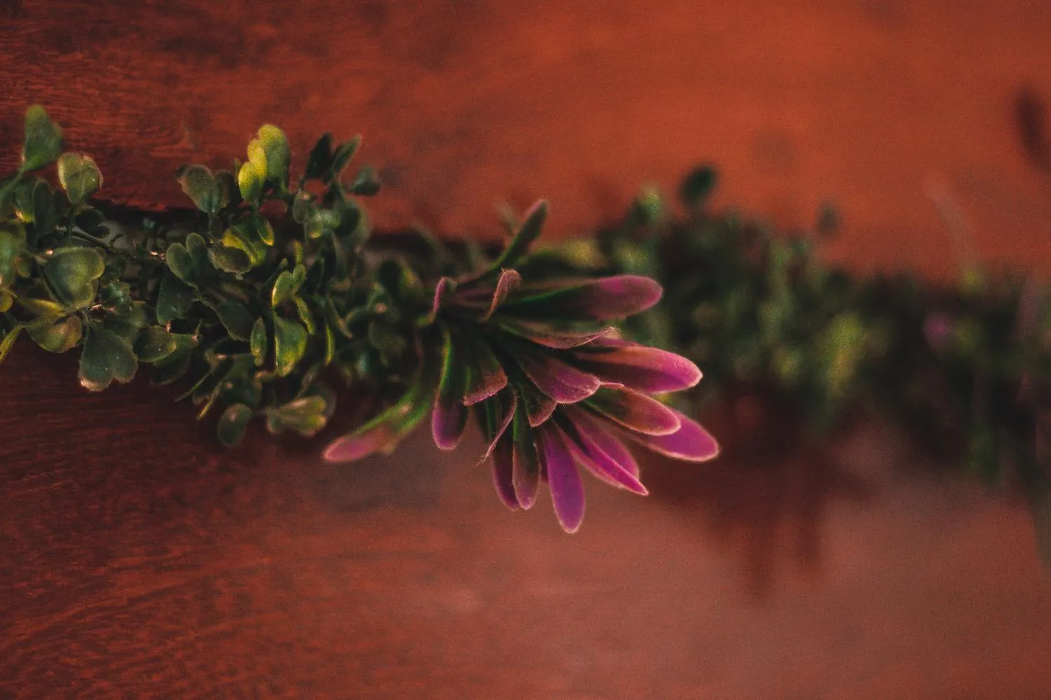 Decorative detail in Bacana Hotel Boutique