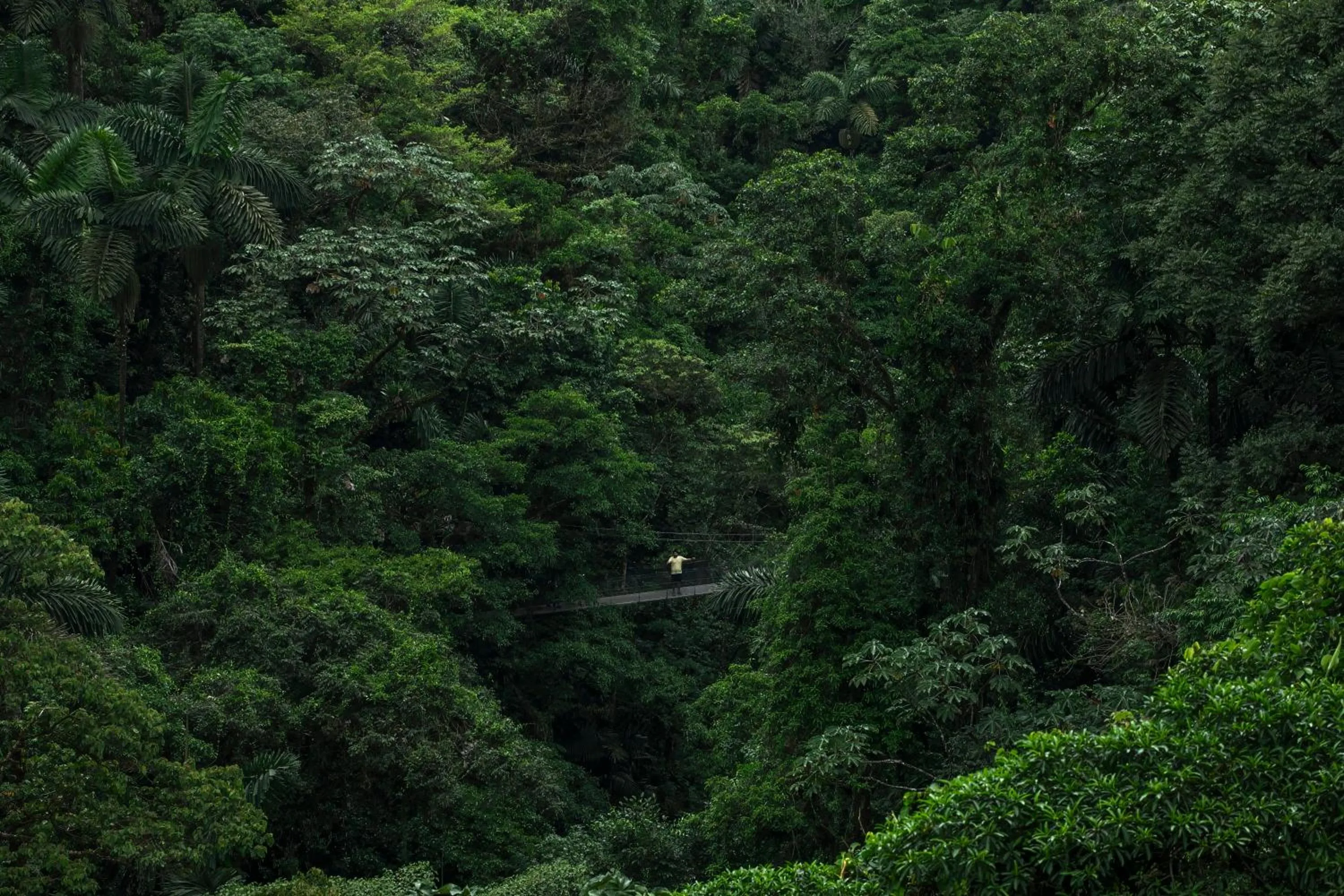 Hiking in Sangregado Lodge