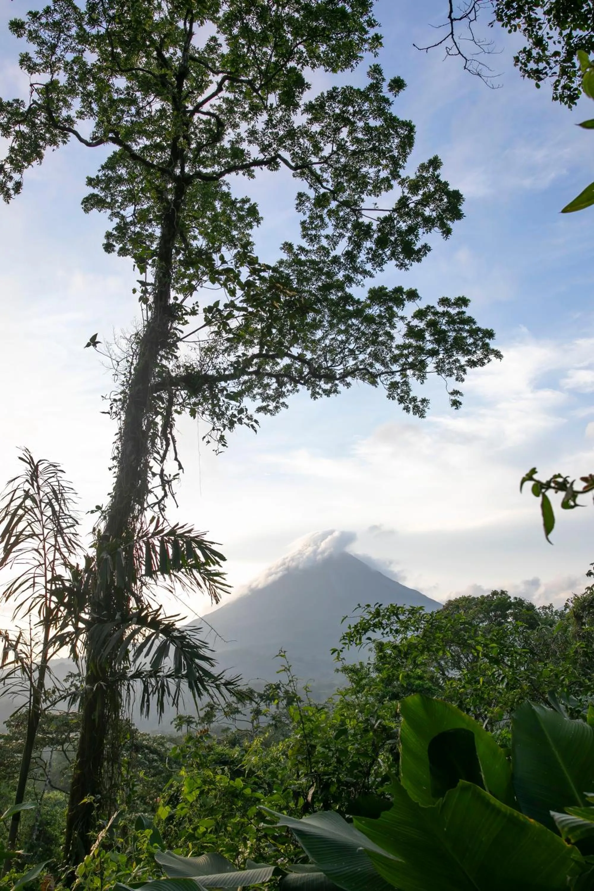 Mountain view in Sangregado Lodge