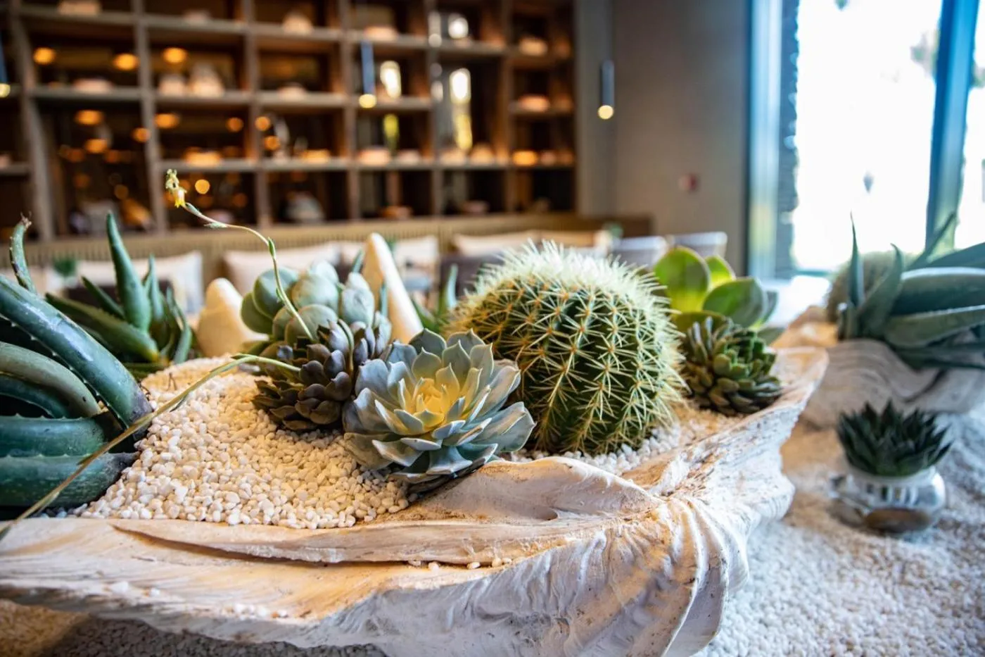 Food and drinks in 1 Hotel Haitang Bay, Sanya