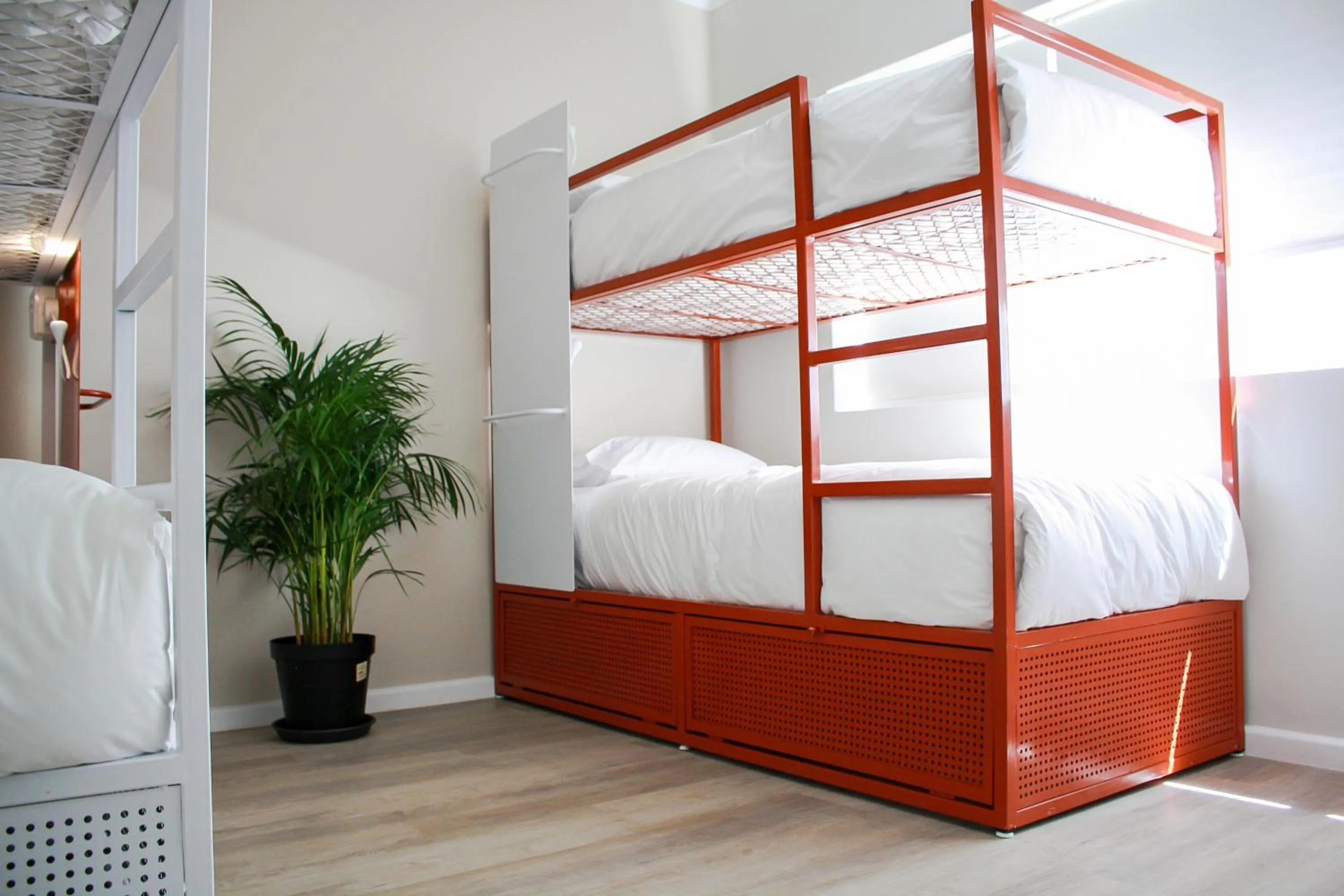 bunk bed, Bed in CURIOCITY Green Point