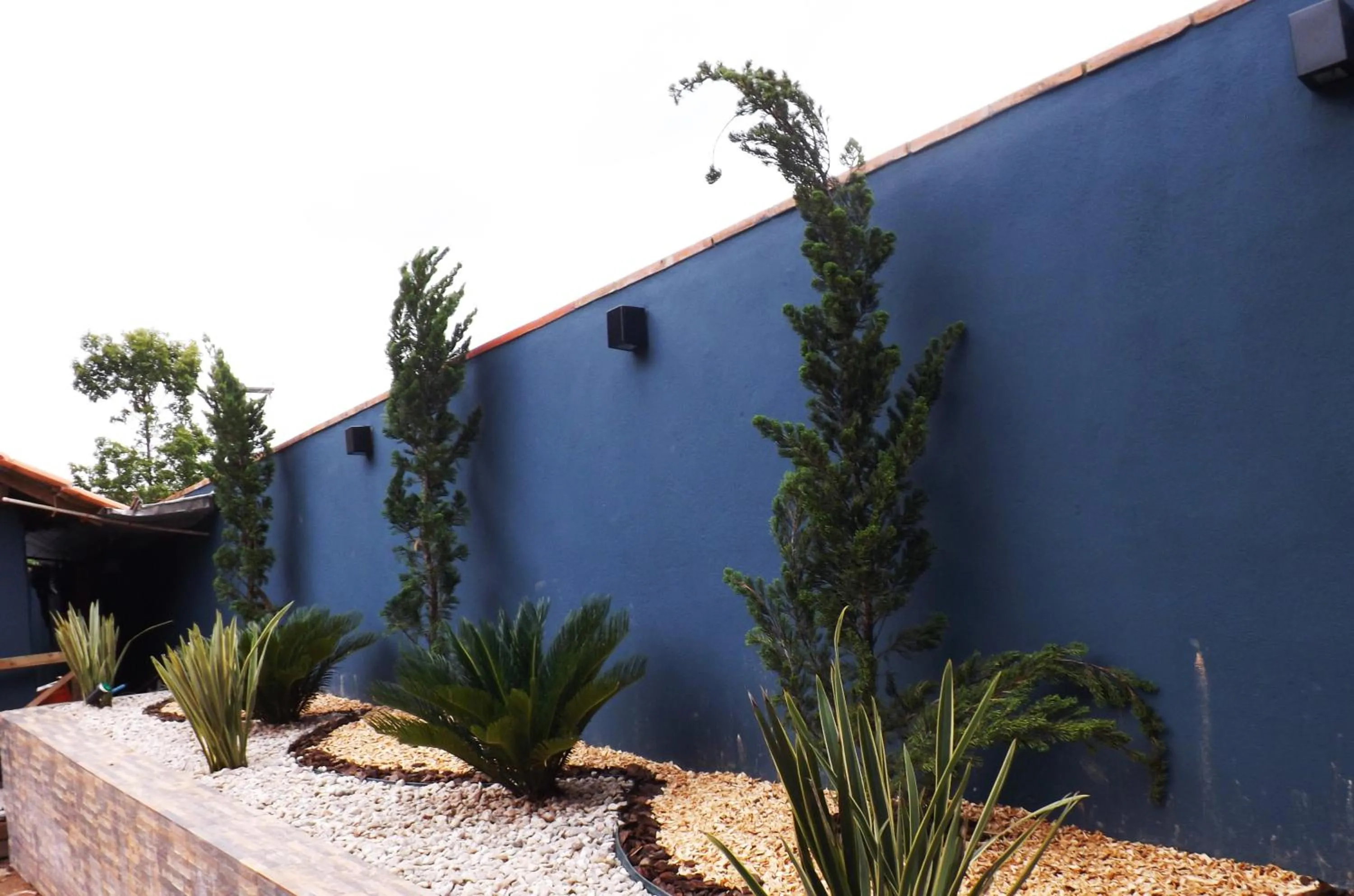 Garden in Hotel Lorimar