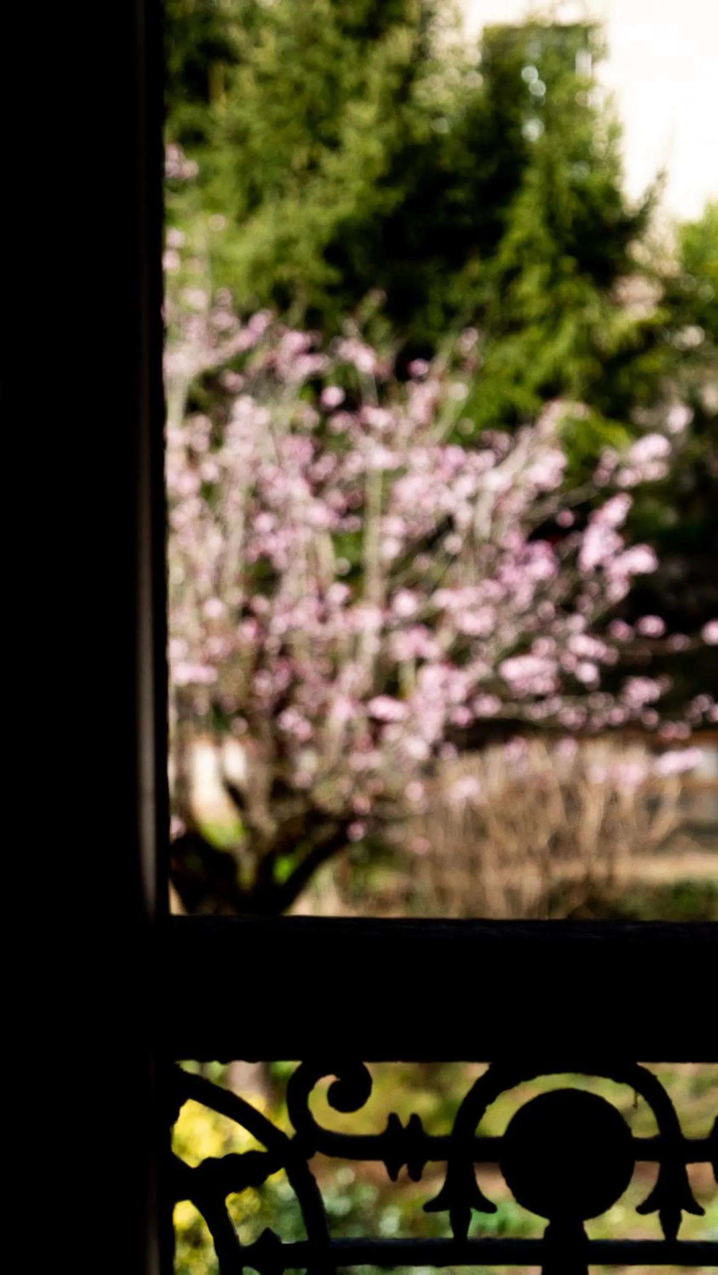 Bedroom in Hôtel Zadig