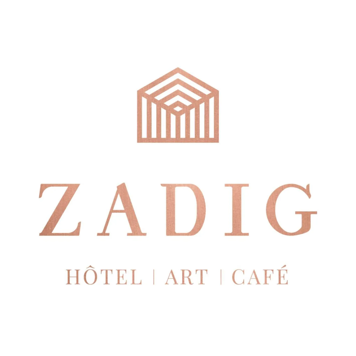 Property logo or sign in Hôtel Zadig