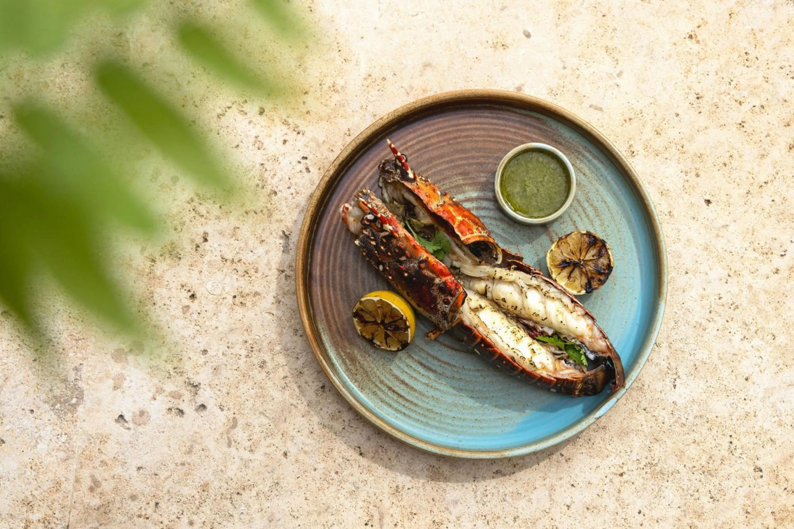 Beach in The Westin Puntacana Resort