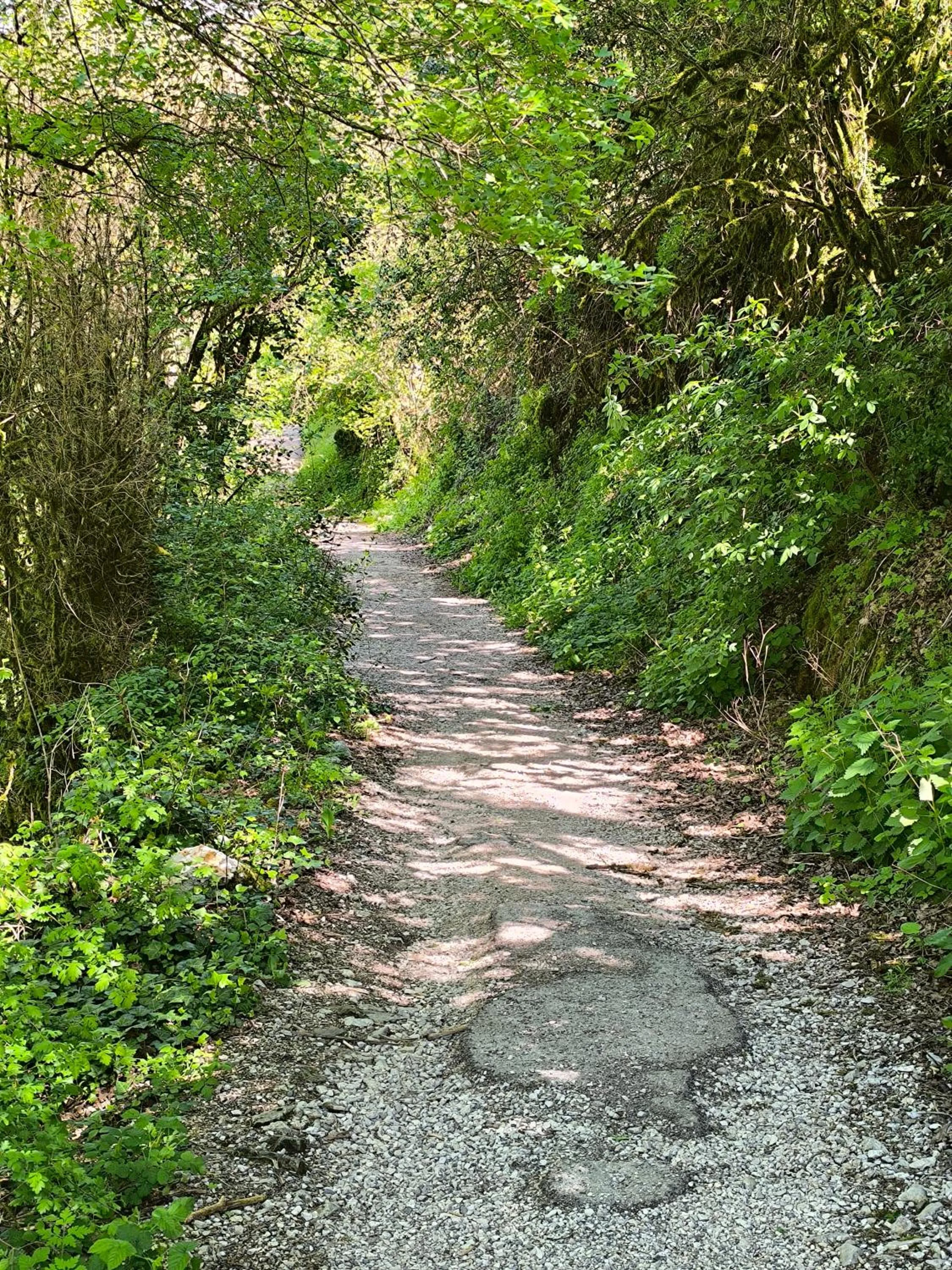 Nearby landmark in Le Puits de Garival