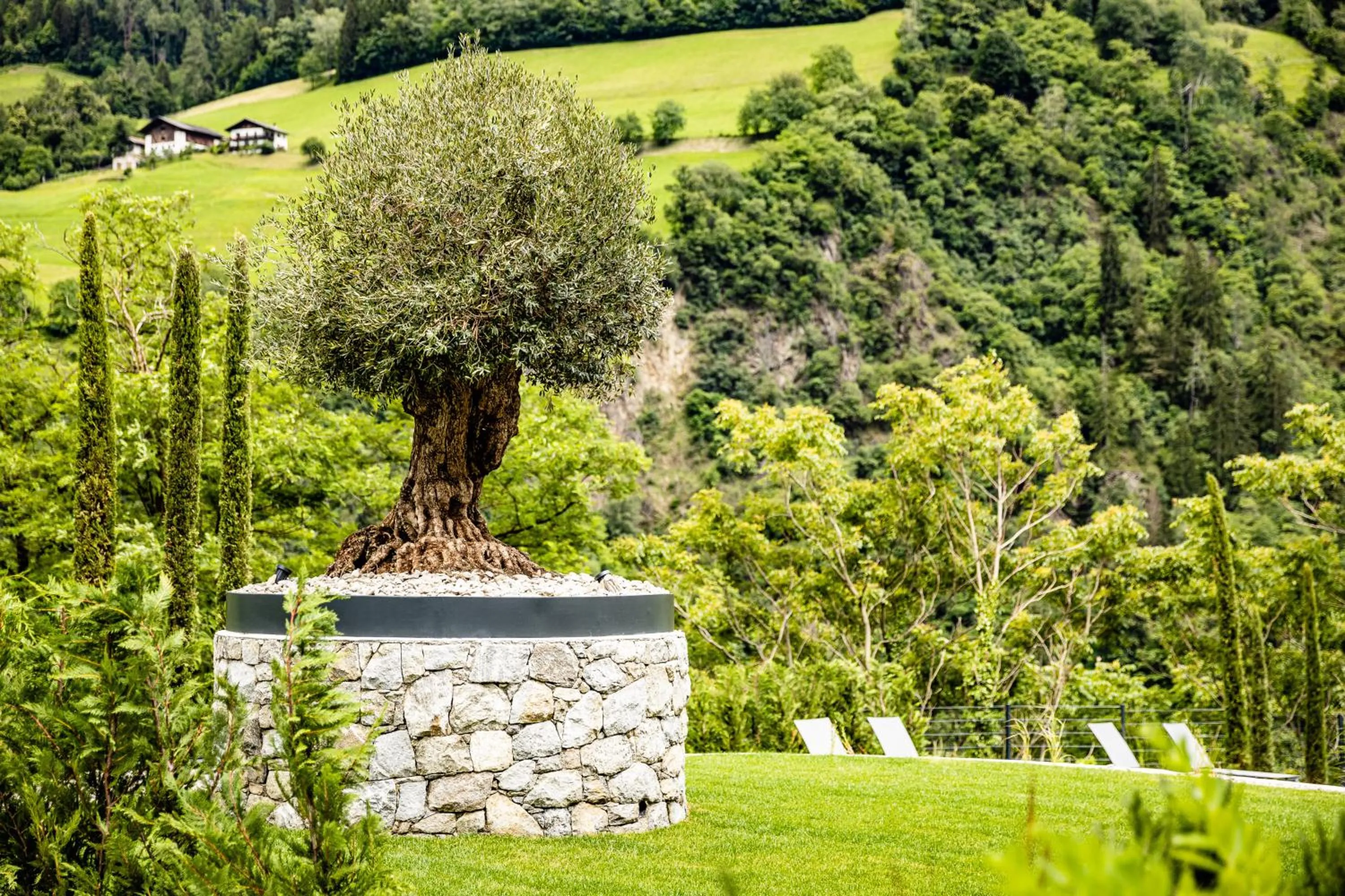 Garden in Panorama Residence Saltauserhof Resort