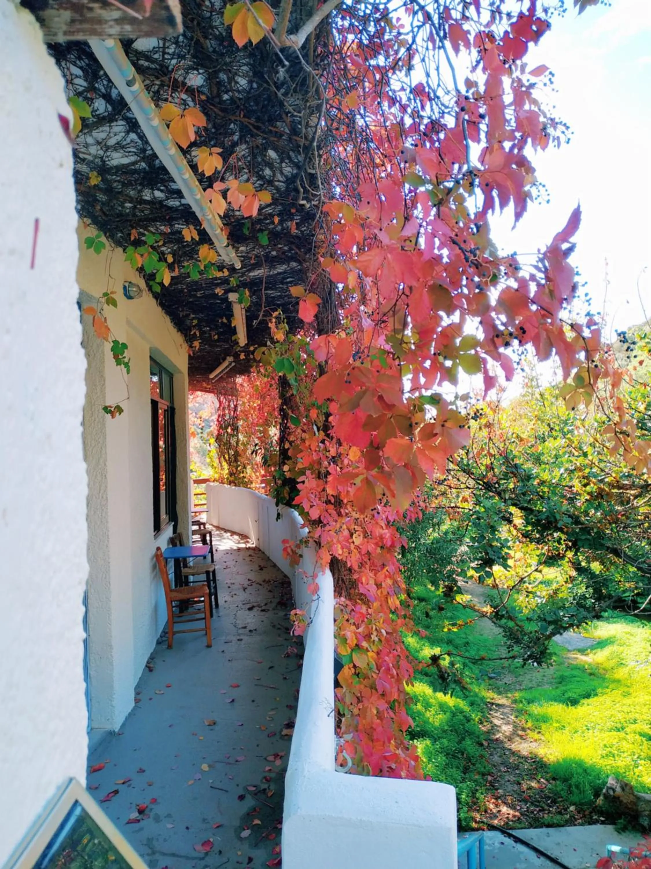 Oleander's Garden Traditional Cretan Cottage