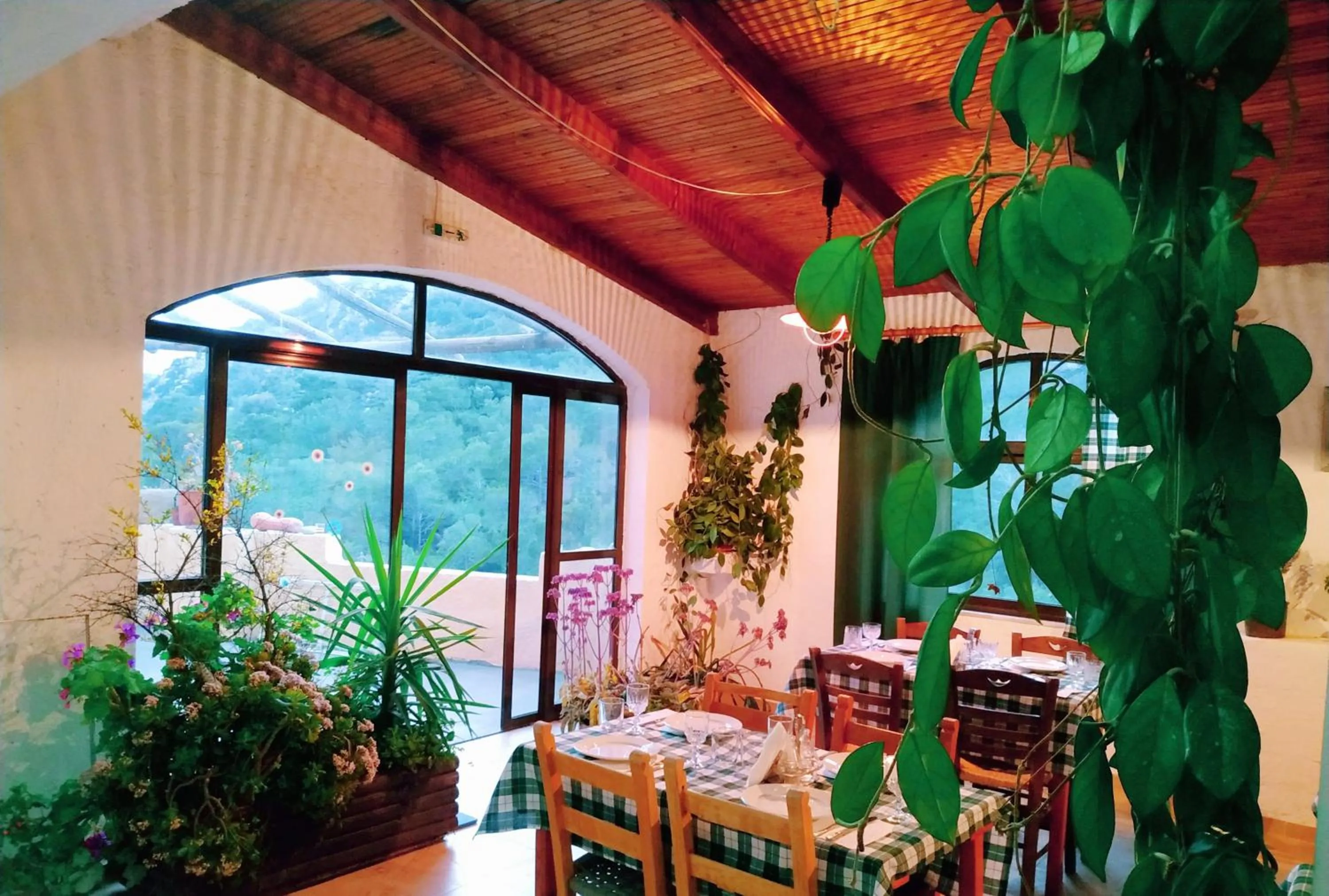 Restaurant/places to eat in Oleander's Garden Traditional Cretan Cottage