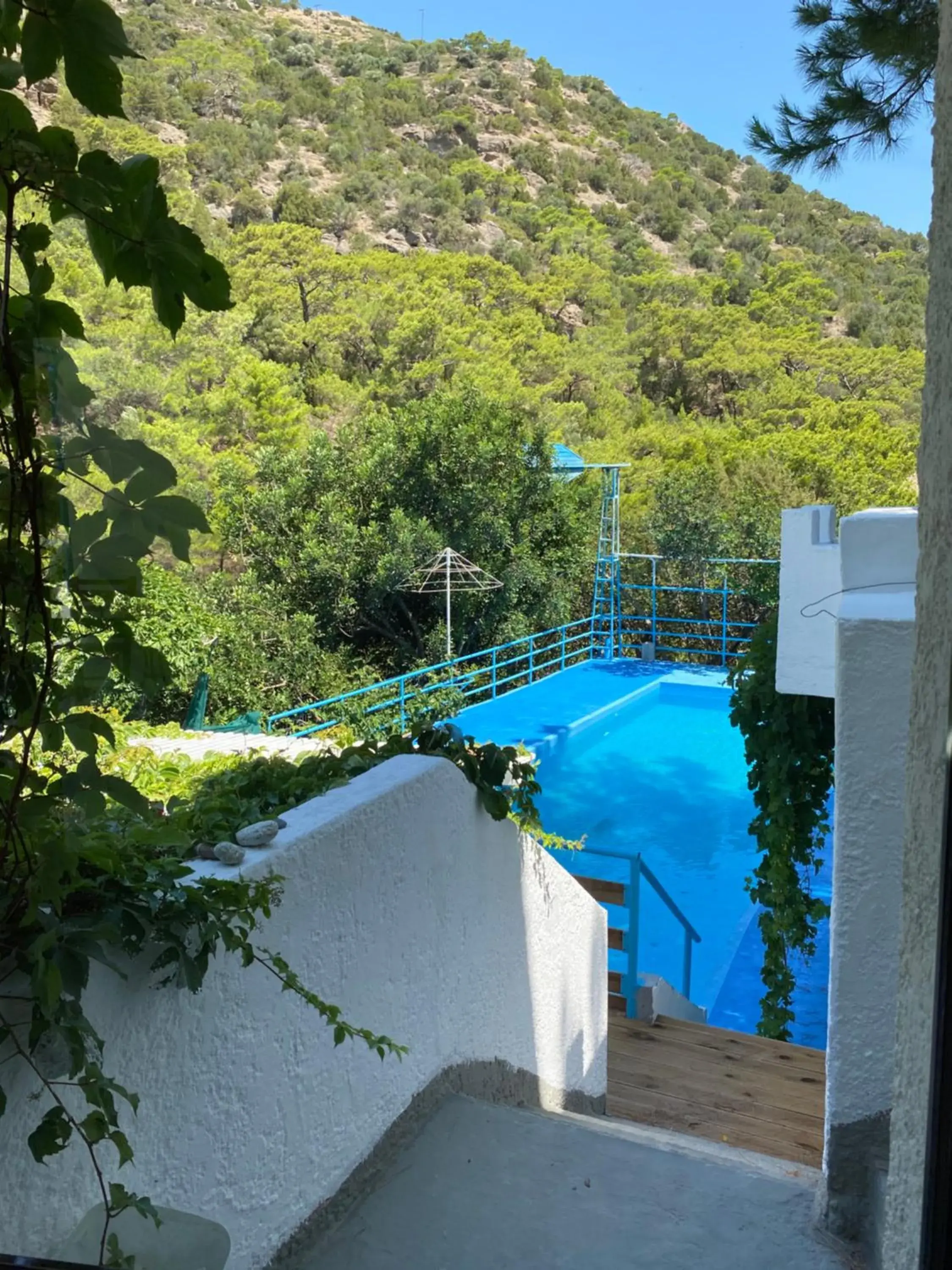 Triple Room with Terrace in Oleander's Garden Traditional Cretan Cottage Triple Room with Terrace in Oleander's Garden Traditional Cretan Cottage
