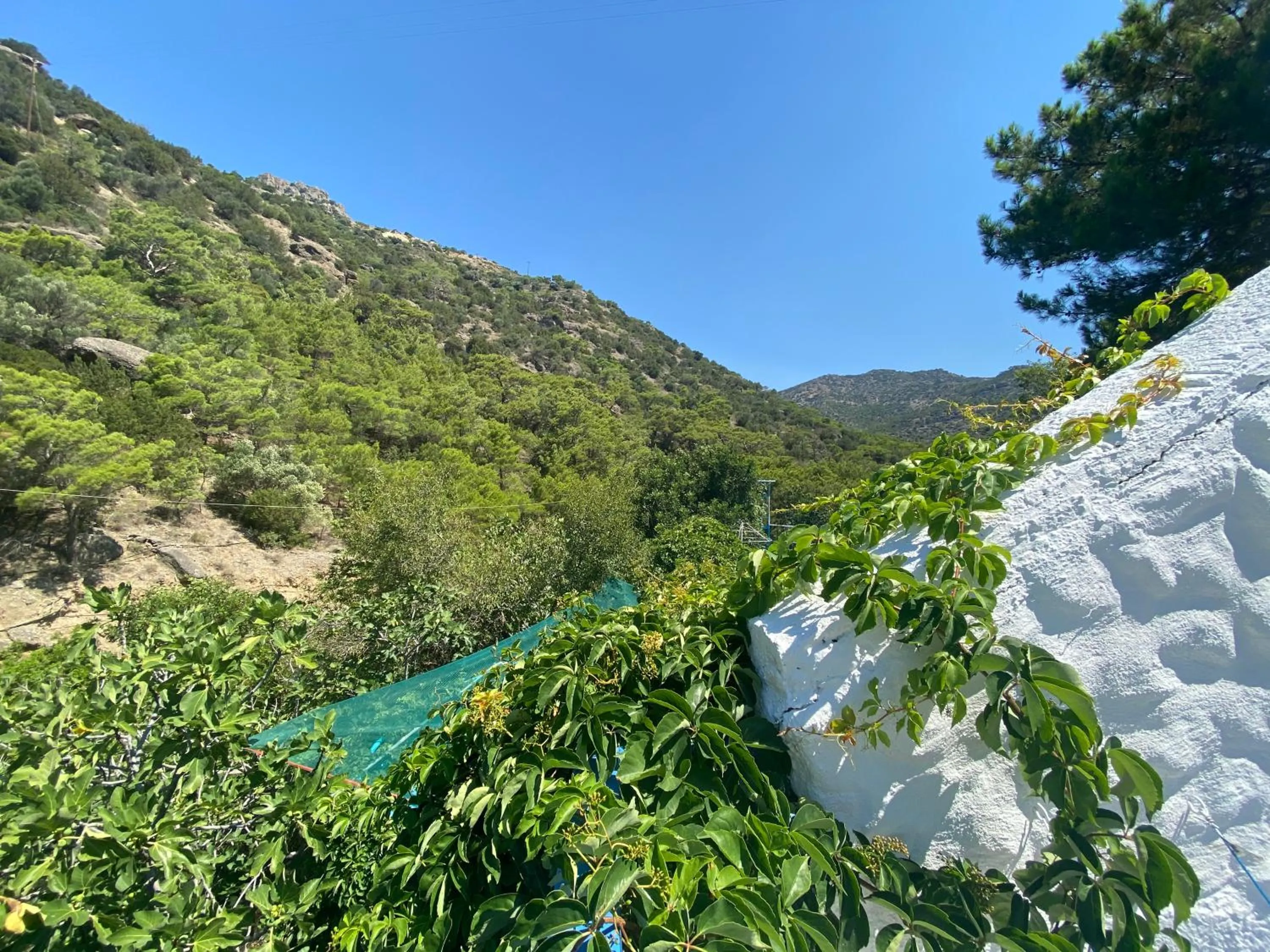 Mountain view in Oleander's Garden Traditional Cretan Cottage
