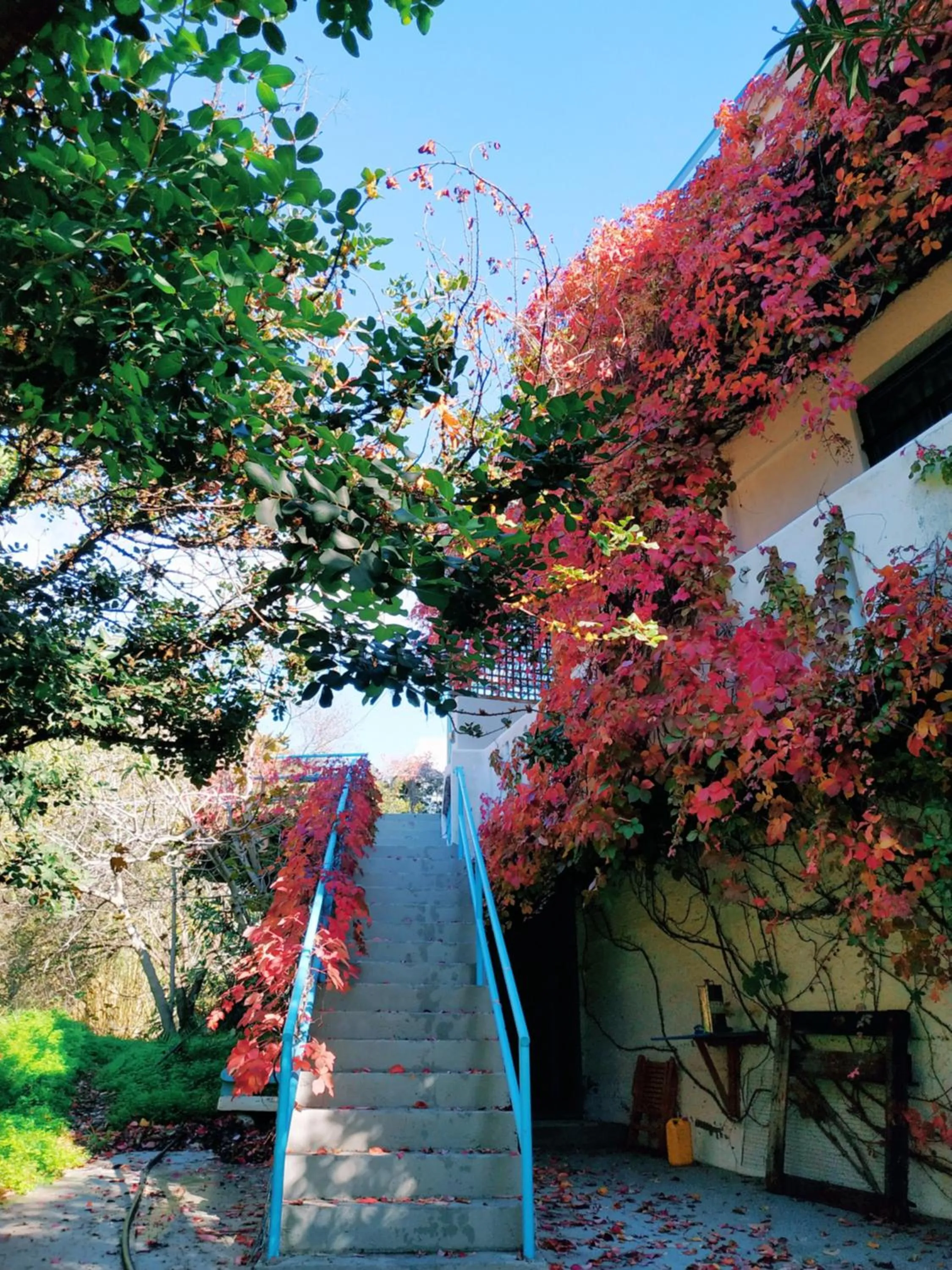 Oleander's Garden Traditional Cretan Cottage
