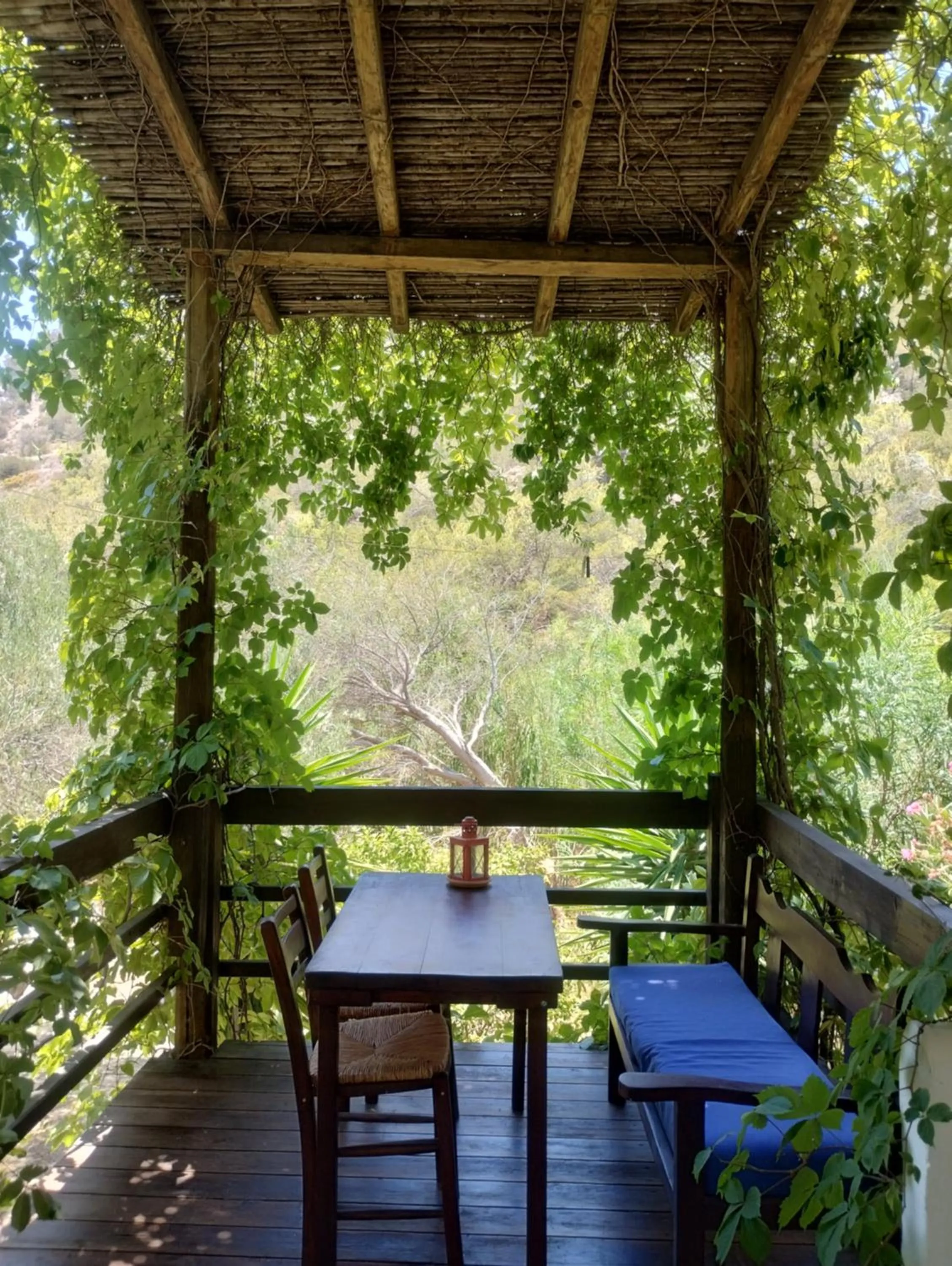 Oleander's Garden Traditional Cretan Cottage