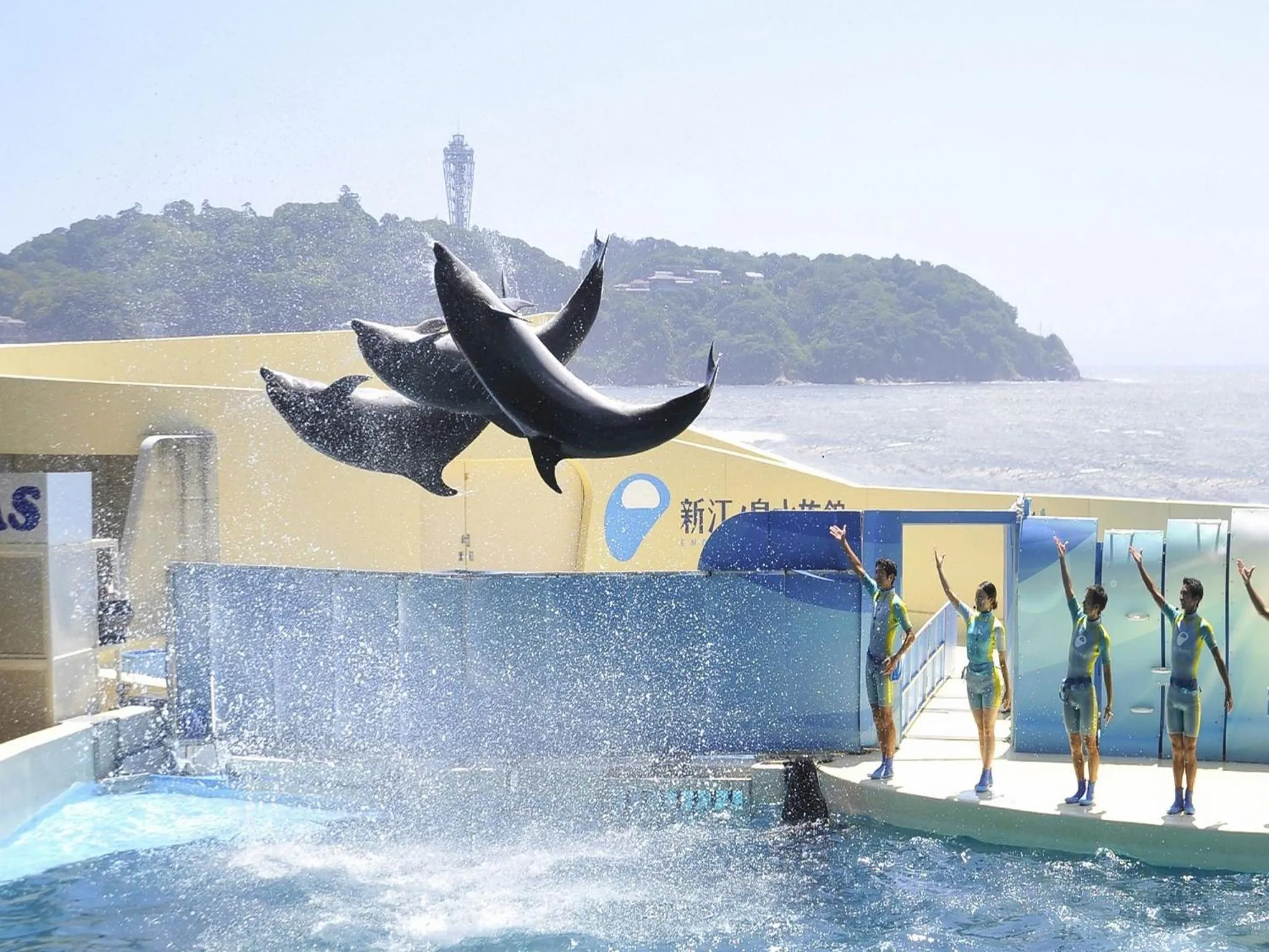 Nearby landmark in Sotetsu Fresa Inn Fujisawa Shonandai