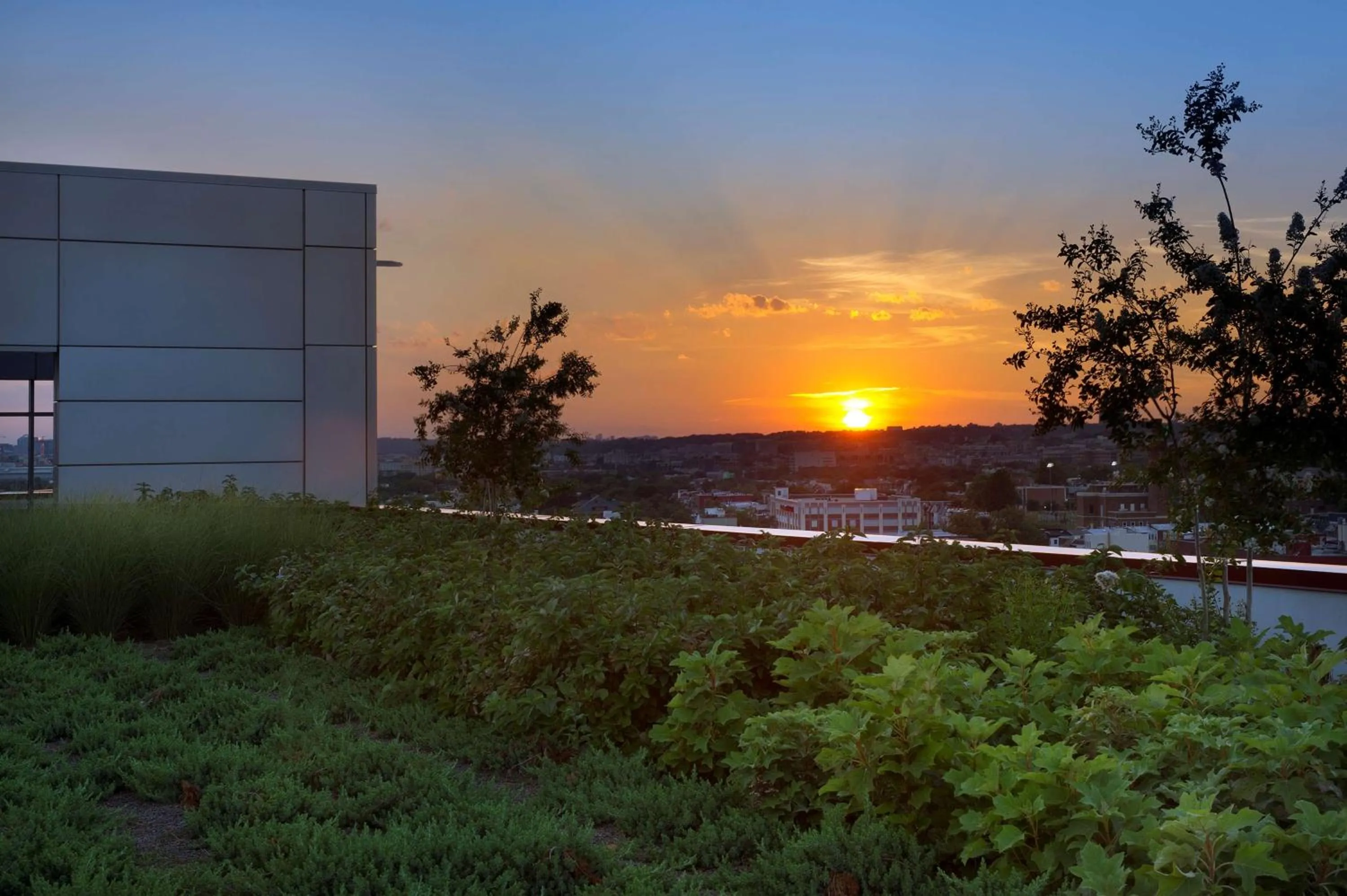 Property building in Homewood Suites by Hilton Washington DC NoMa Union Station