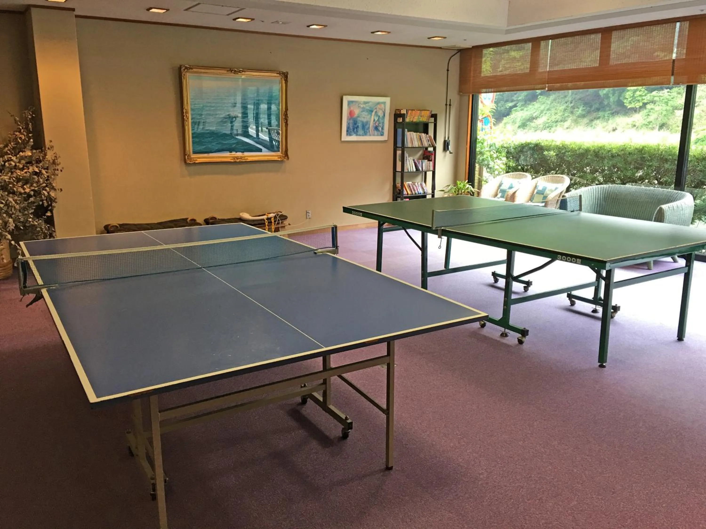 Table tennis in Kawayu Onsen Fujiya