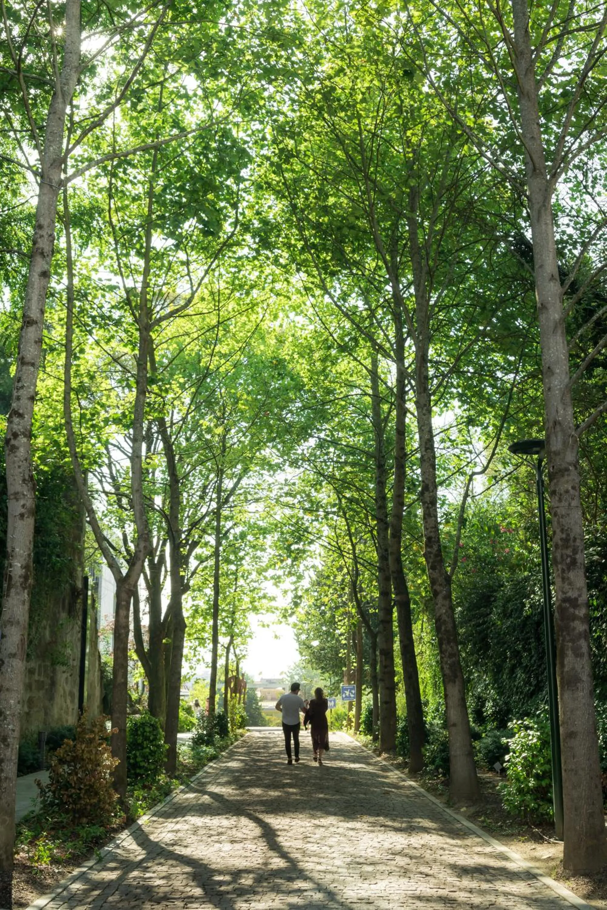 Facade/entrance in Boeira Garden Hotel Porto Gaia, Curio Collection by Hilton