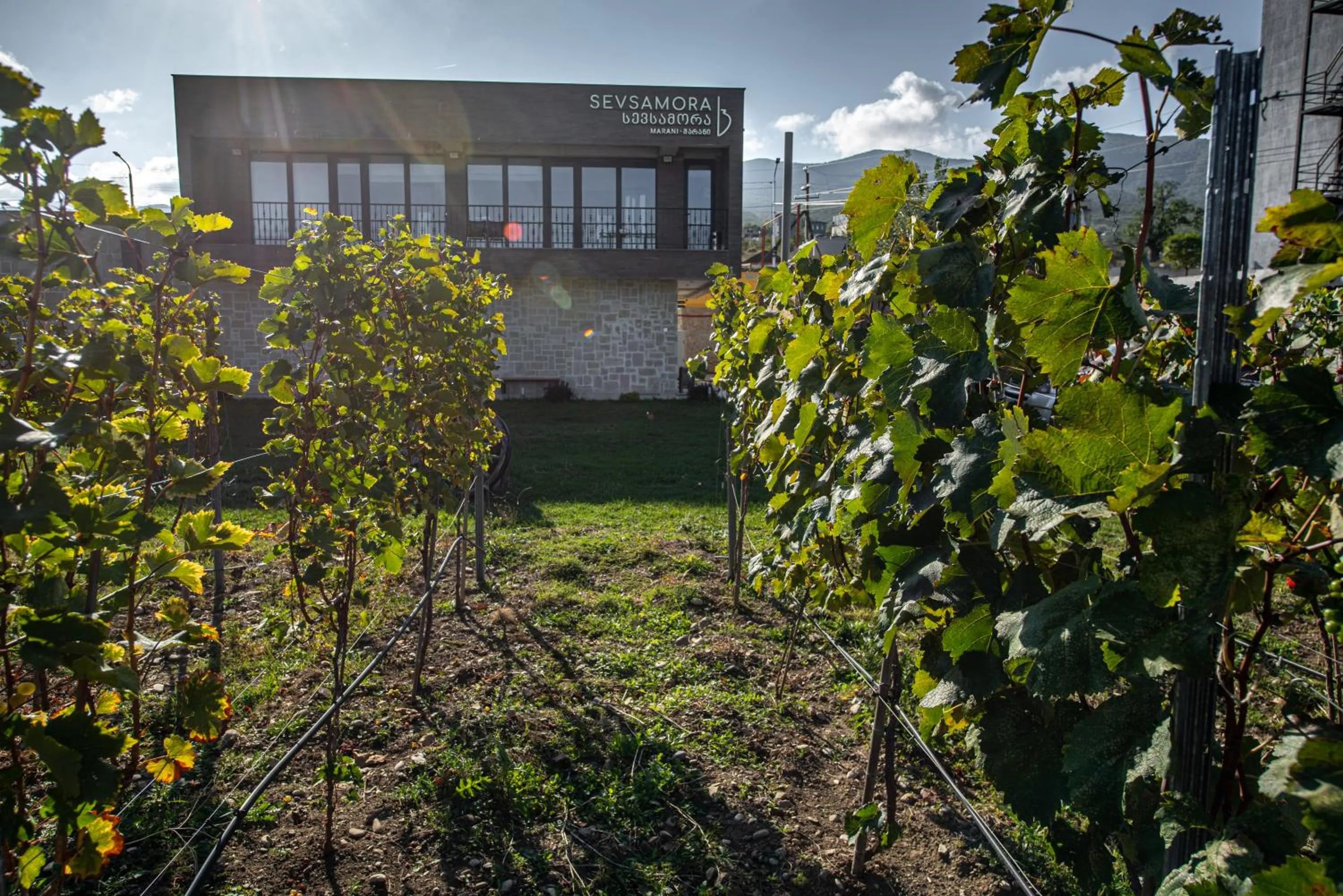 Garden in Sevsamora Resort & Spa