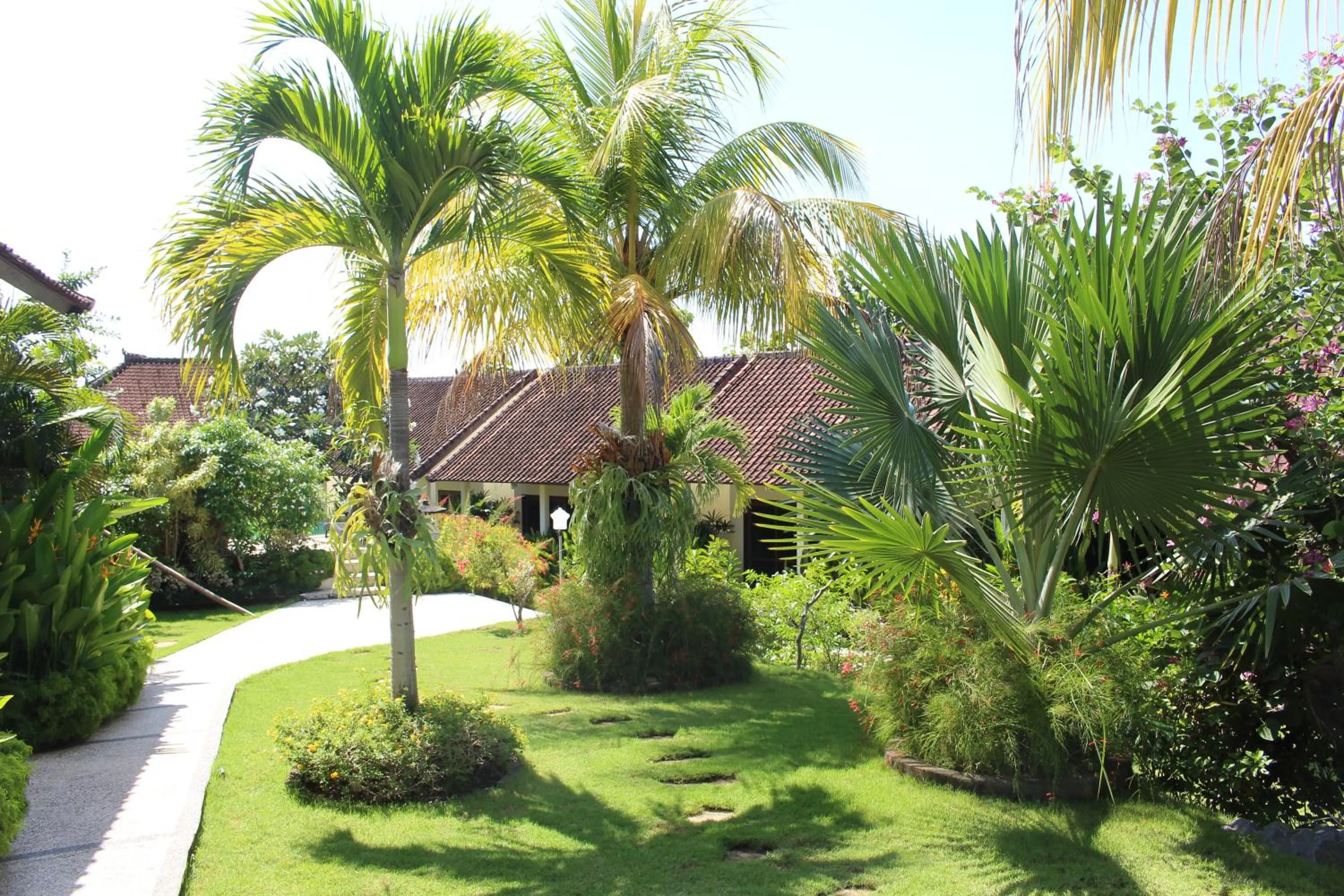 Garden in Ocean Sun Dive Resort