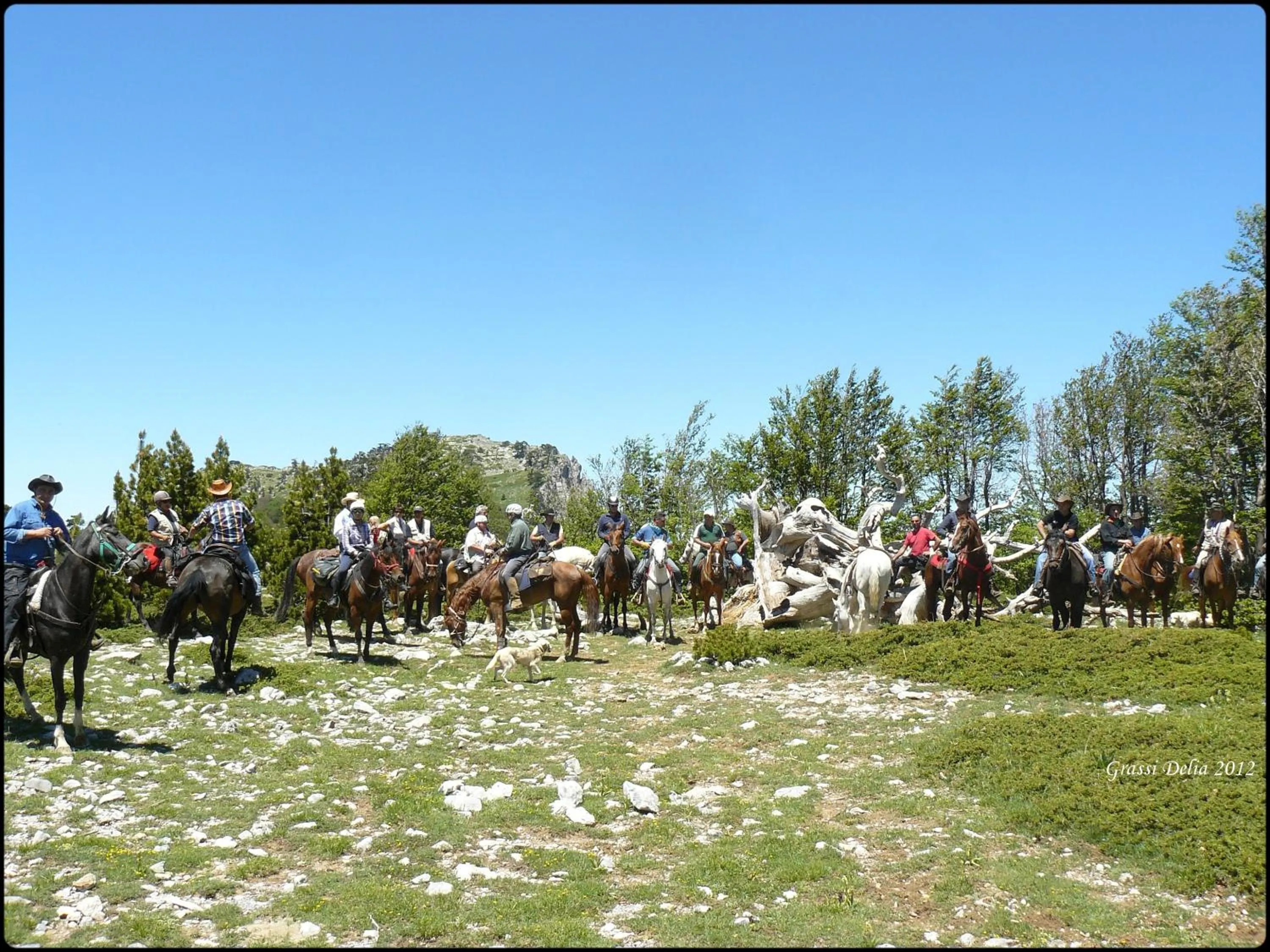 Natural landscape in Montagne Rocciose