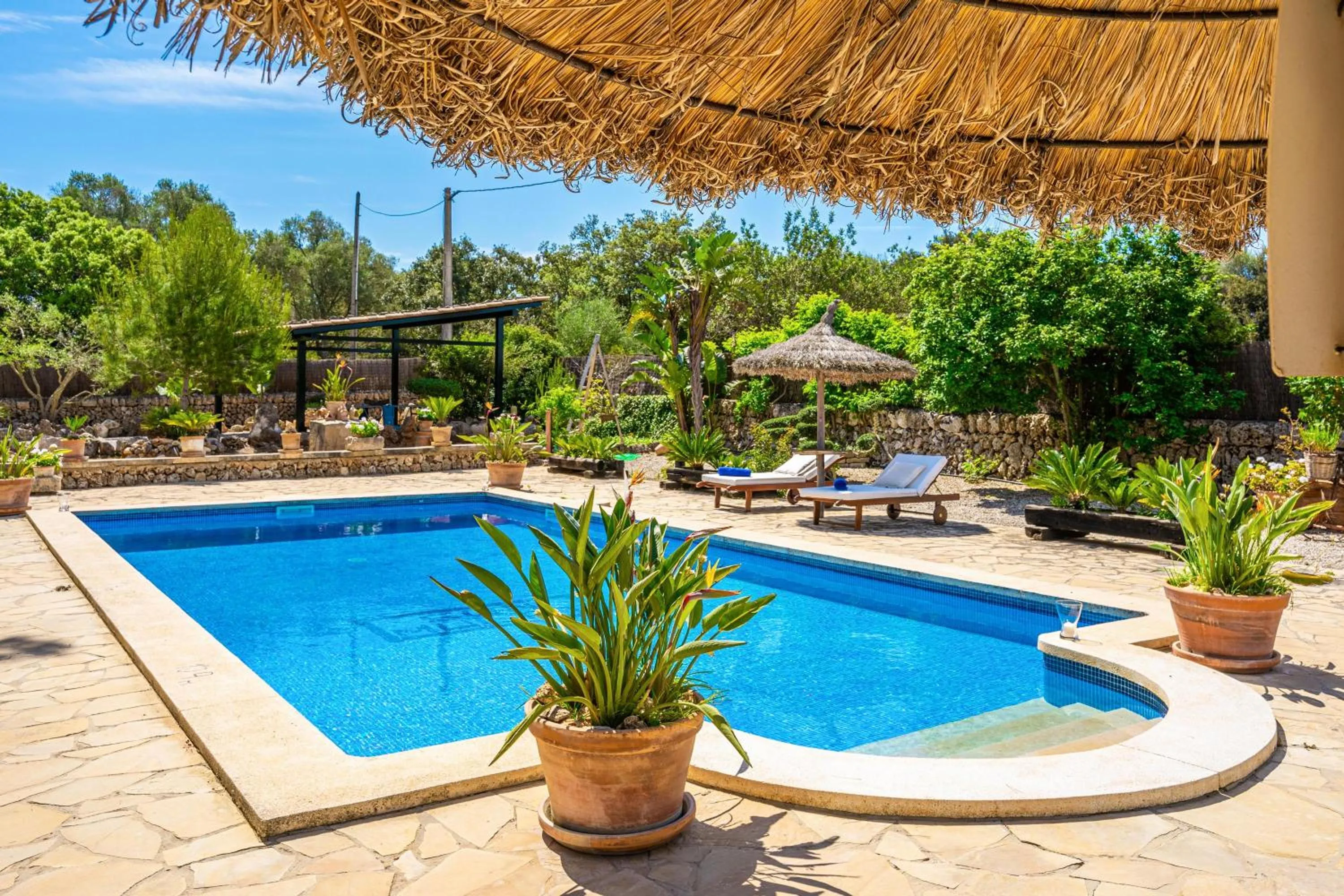 Swimming pool in Son Mulet