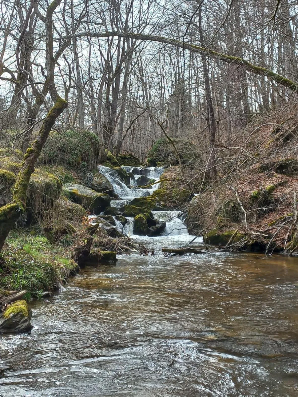 Nearby landmark in Auberge du Précontent