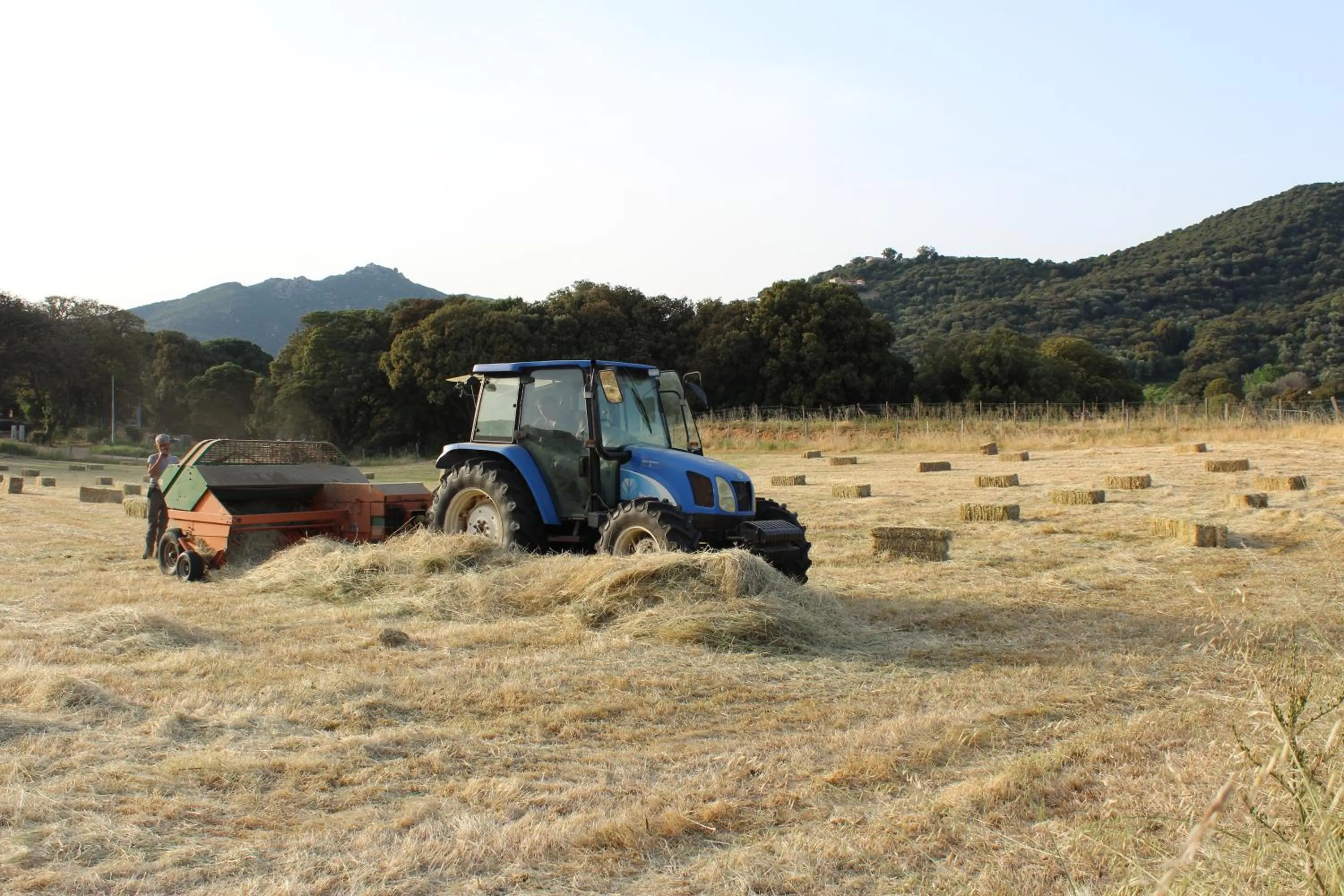 Natural landscape in Hotel & Restaurant Les Bergeries d'Alata
