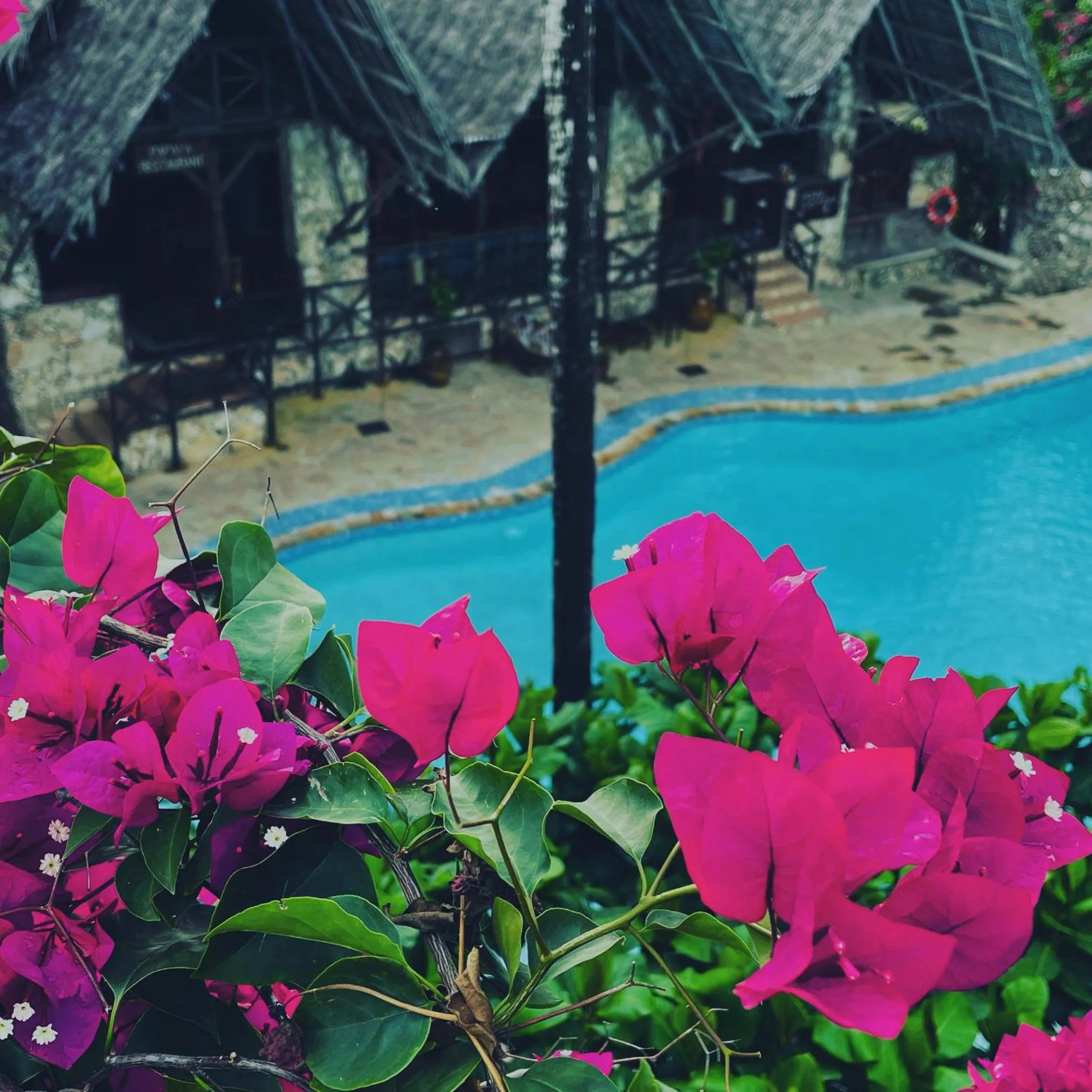 Pool view in Samaki Lodge & Spa
