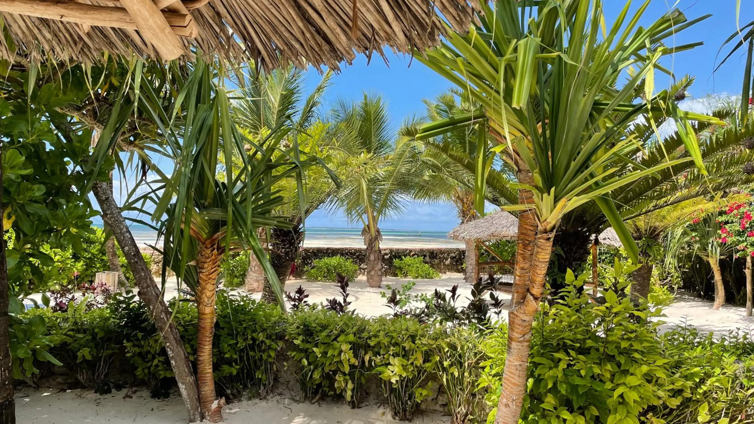 Garden in Samaki Lodge & Spa