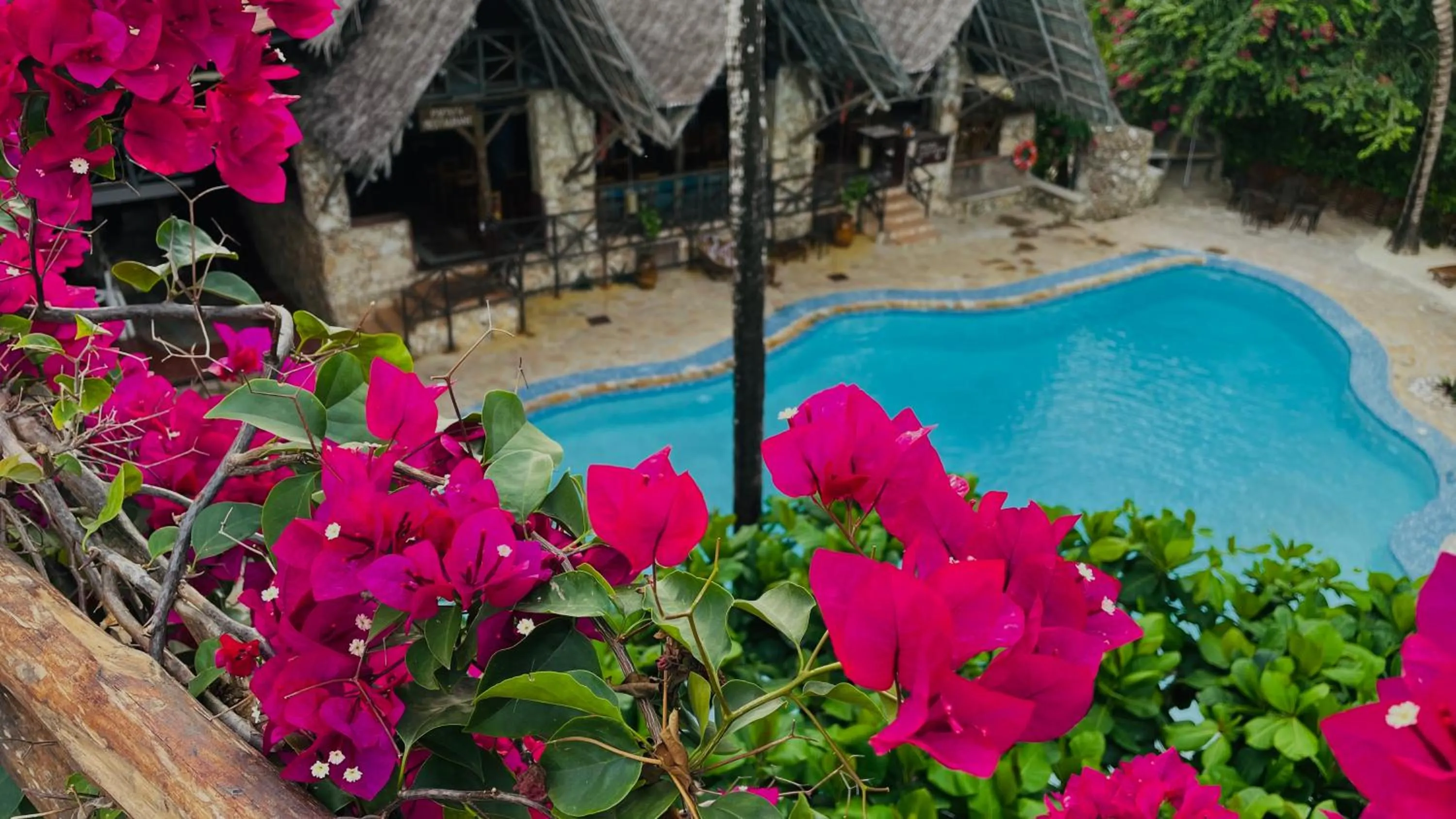 Pool view in Samaki Lodge & Spa