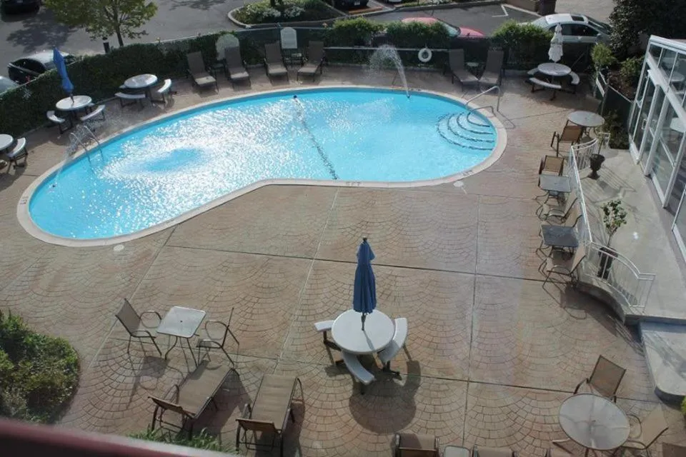 Swimming pool in Norwalk Inn & Conference Center