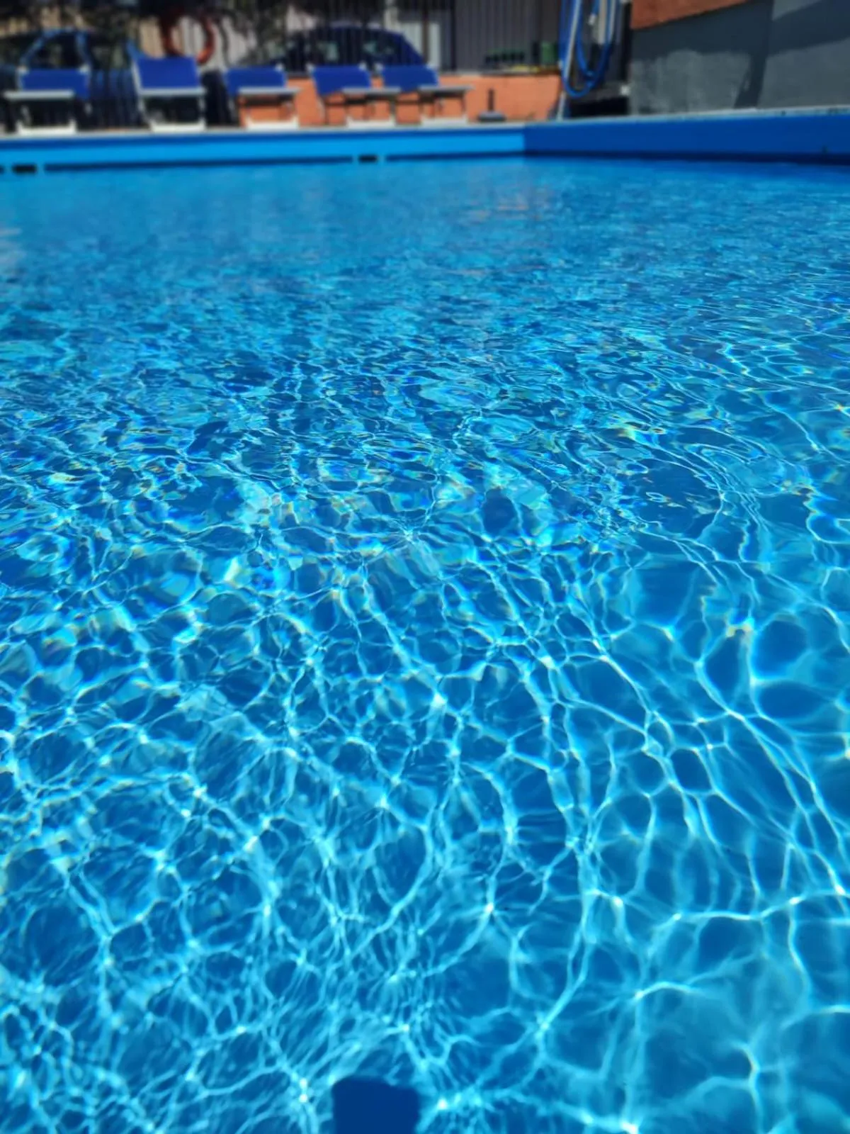 Garden in Albergo Villa Mimosa