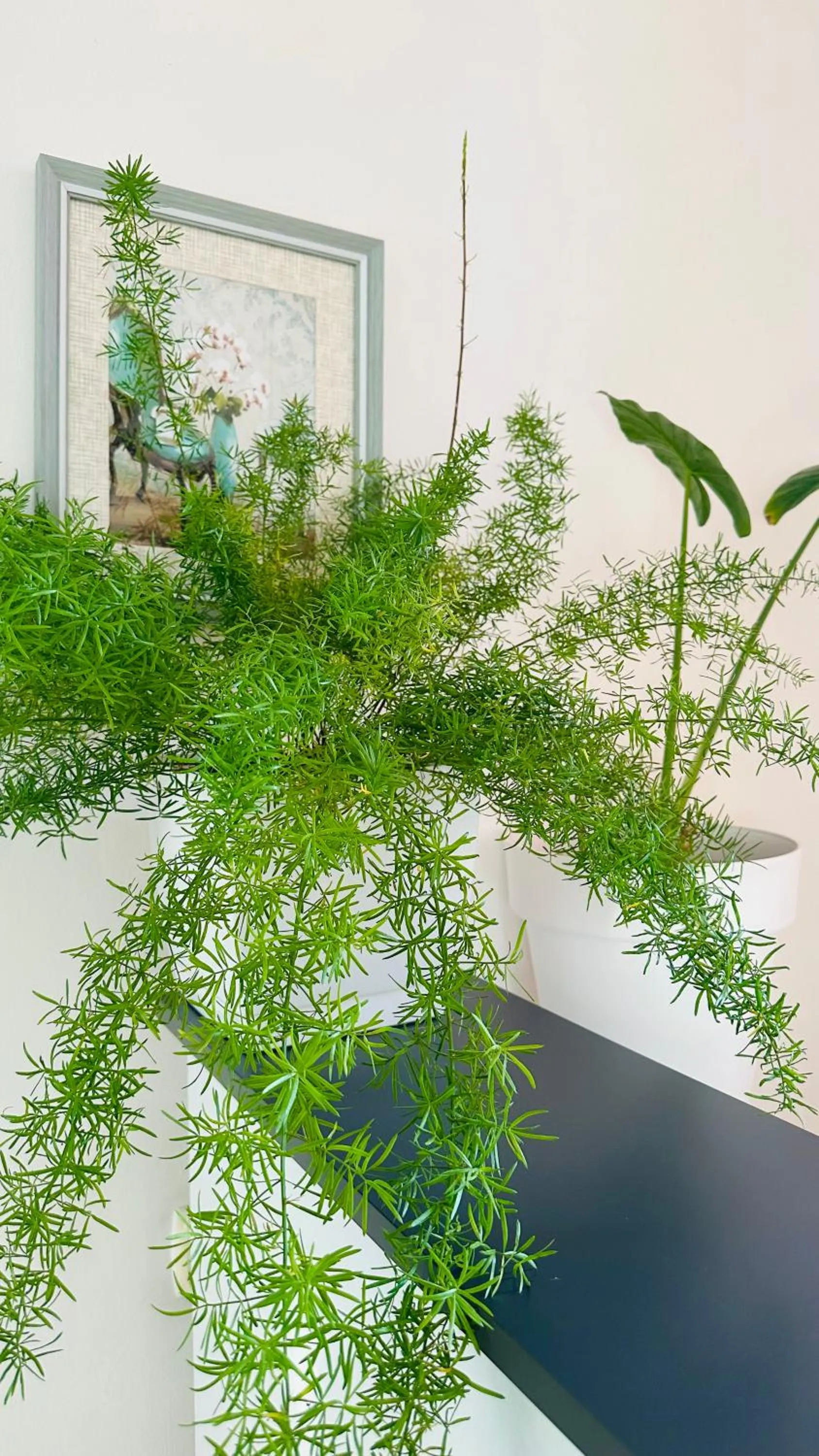 Property building in Hotel Tamar Mepe