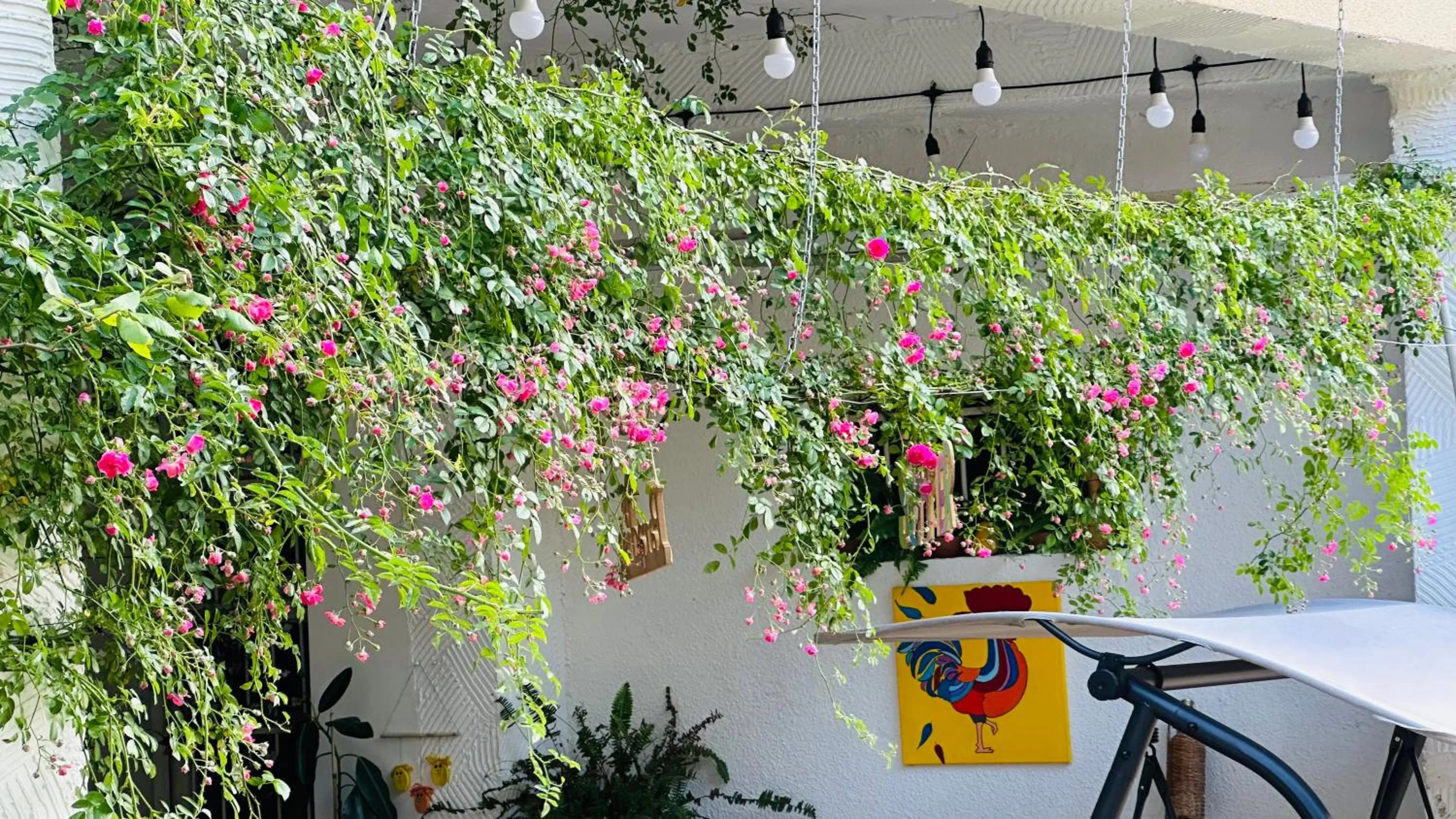 Spring in Hotel Tamar Mepe