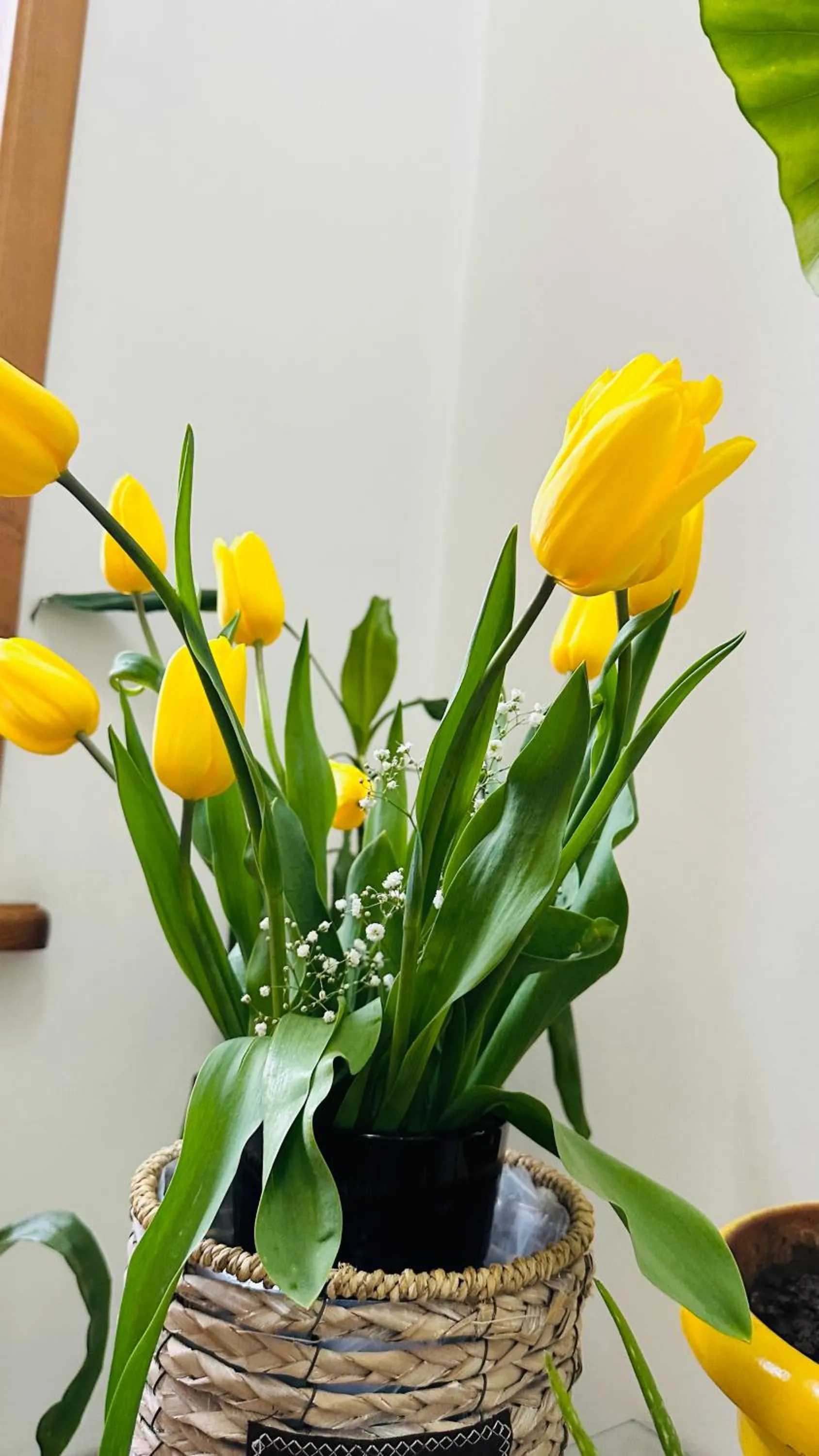 Property building in Hotel Tamar Mepe