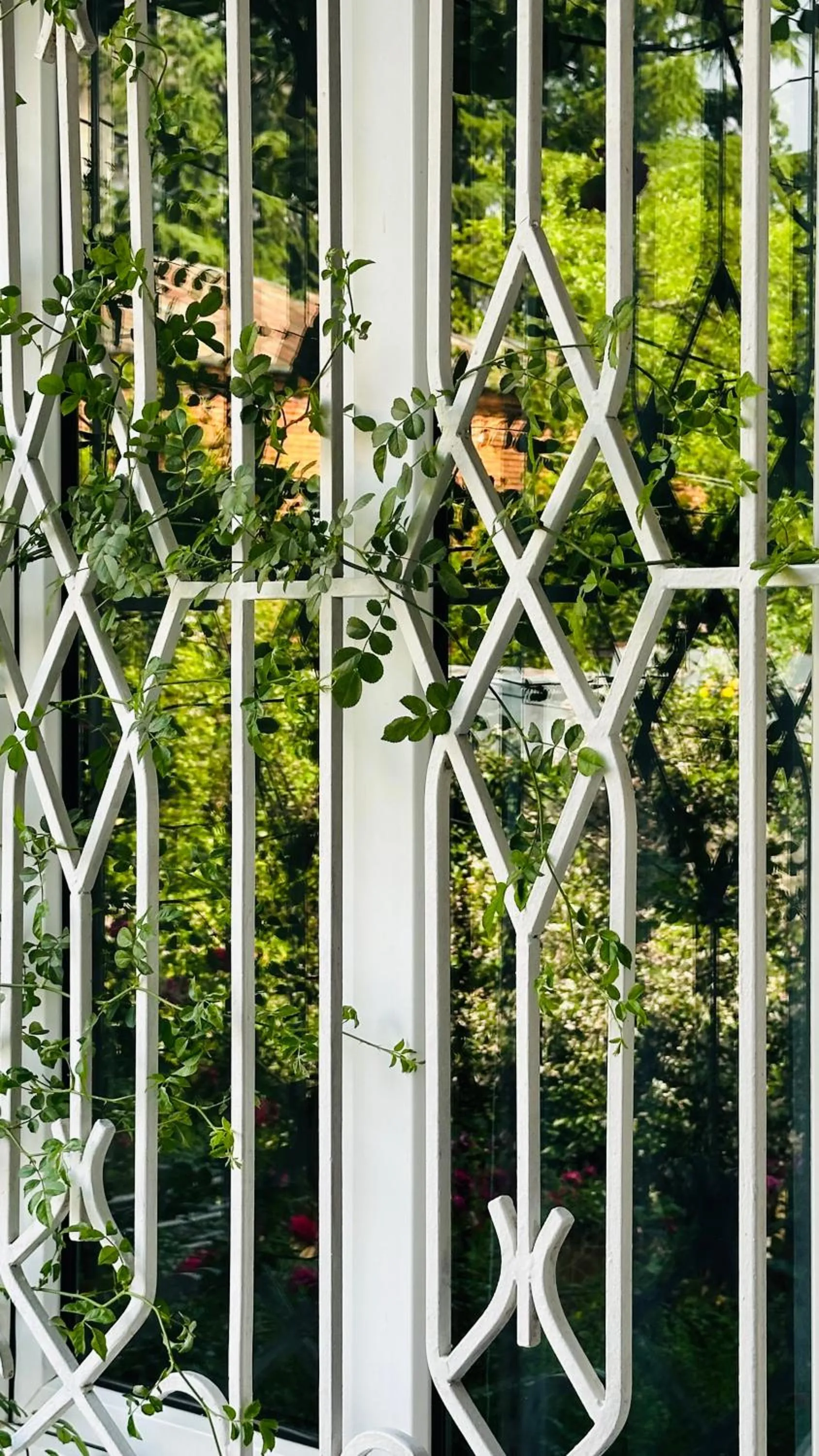 Spring in Hotel Tamar Mepe