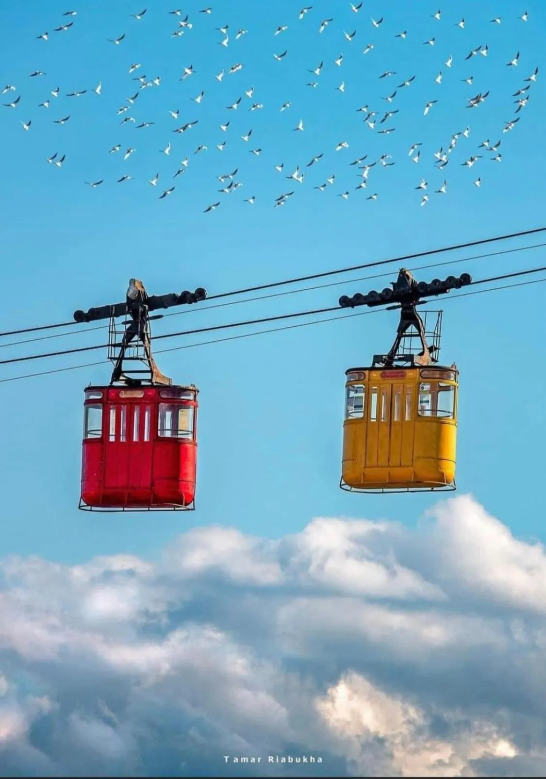 Day in Hotel Tamar Mepe