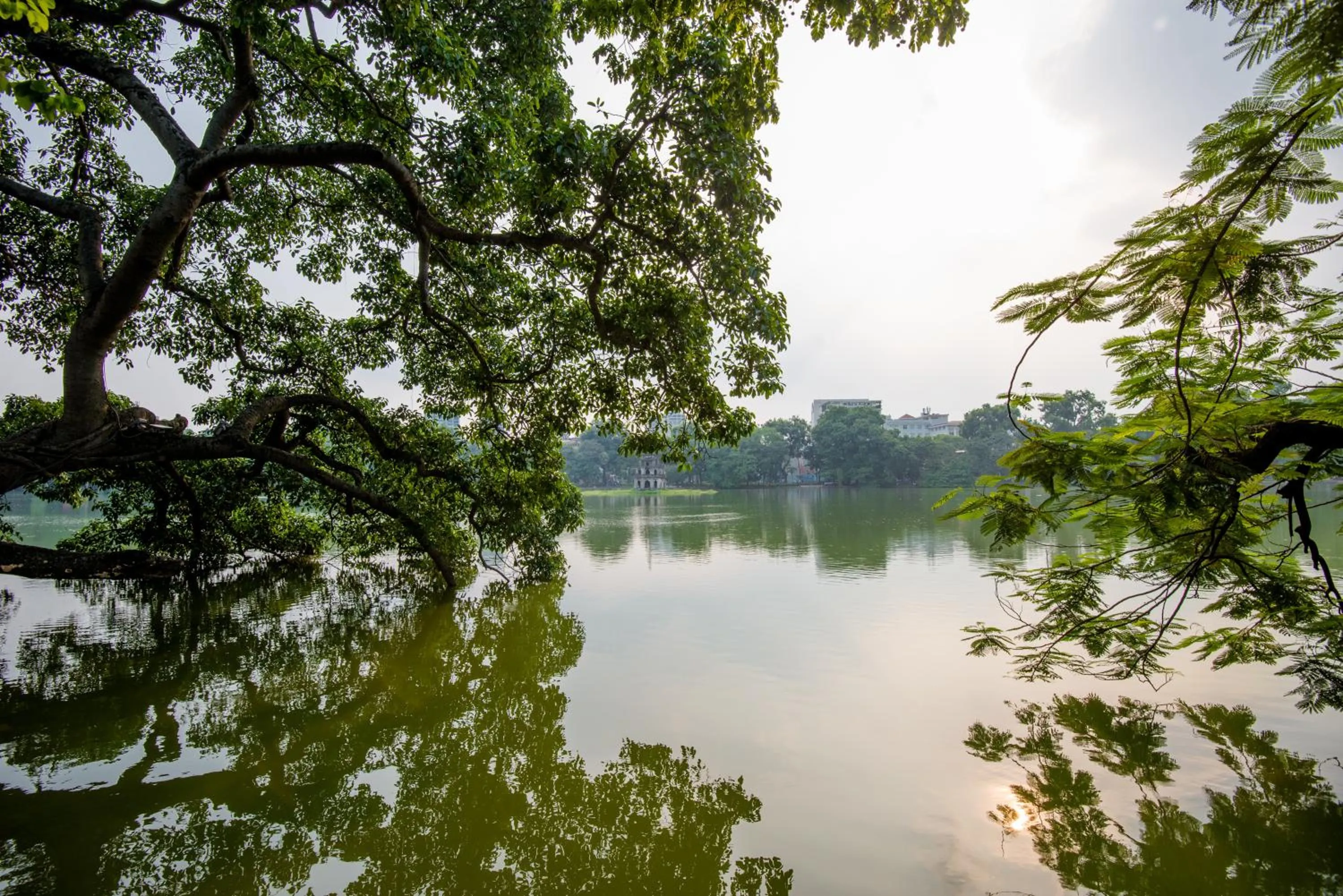Natural landscape in 22housing Hotel & Residence 81 Linh Lang